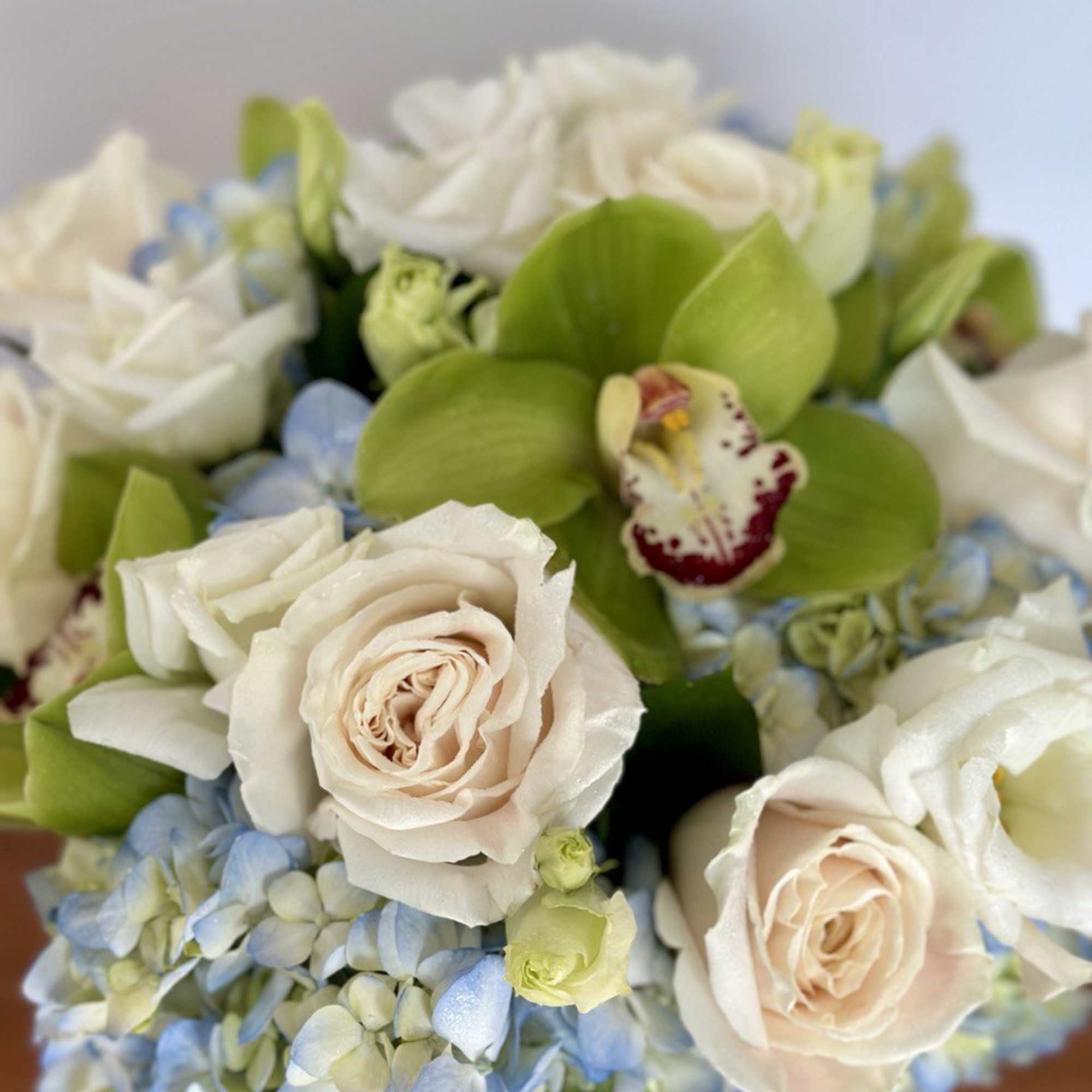 An exquisite arrangement featuring light blue hydrangea, green cymbidium orchids, and white