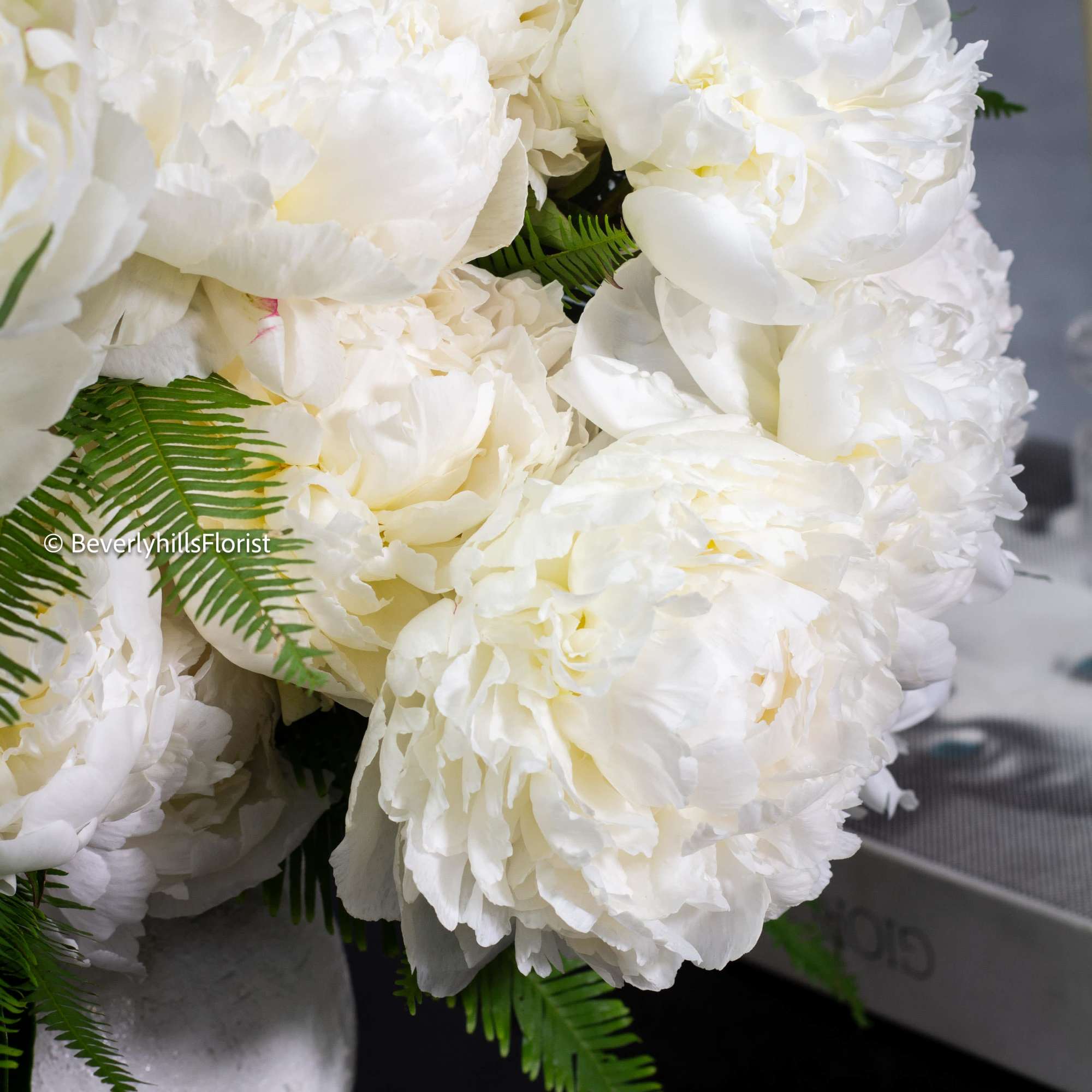  A lavish arrangement of over 20 pristine white peonies nestled within