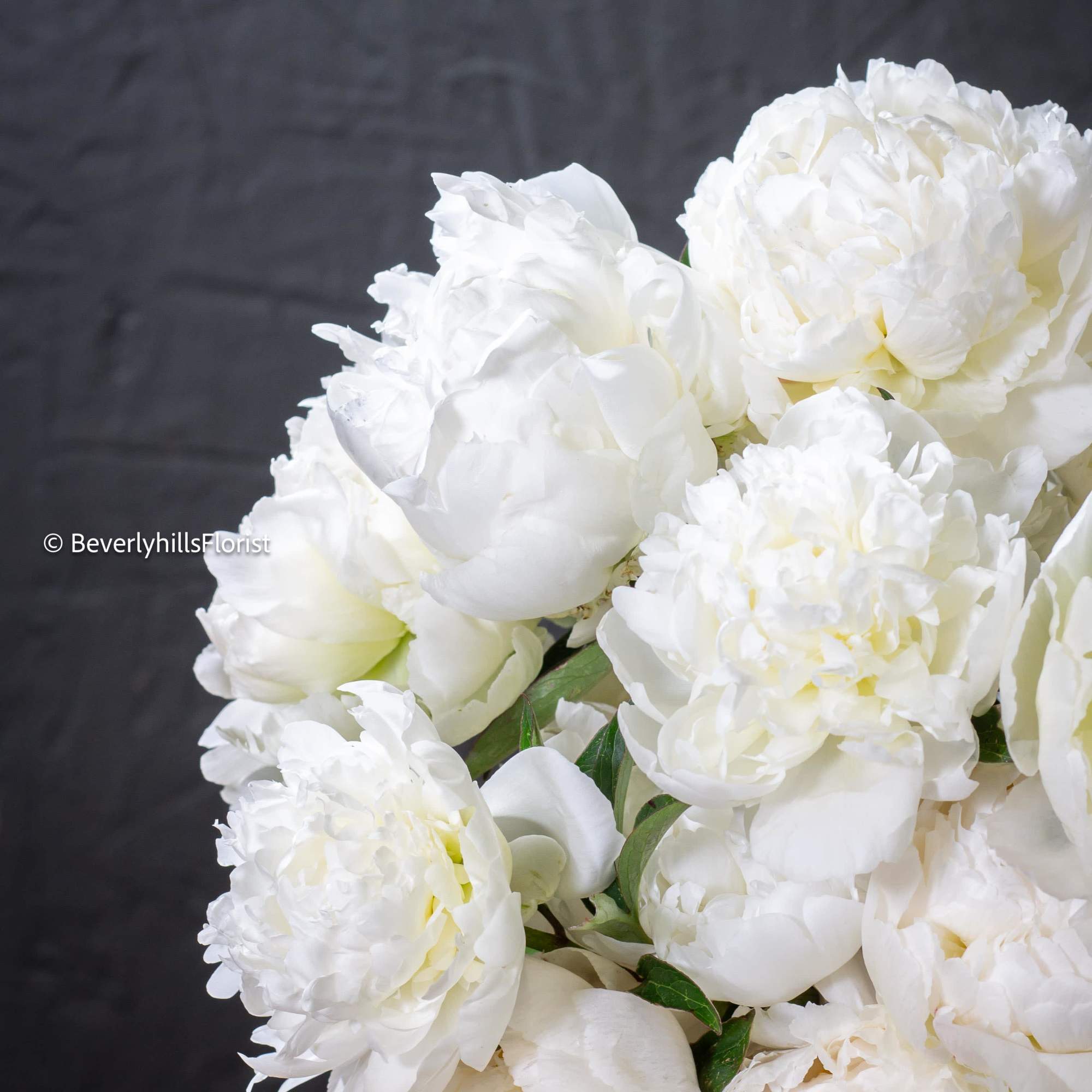  A lavish arrangement of over 20 pristine white peonies nestled within