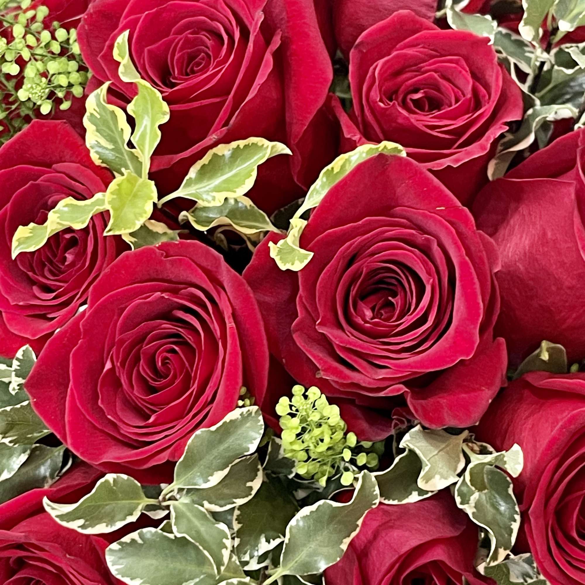 Every week we feature a new design that includes some of our