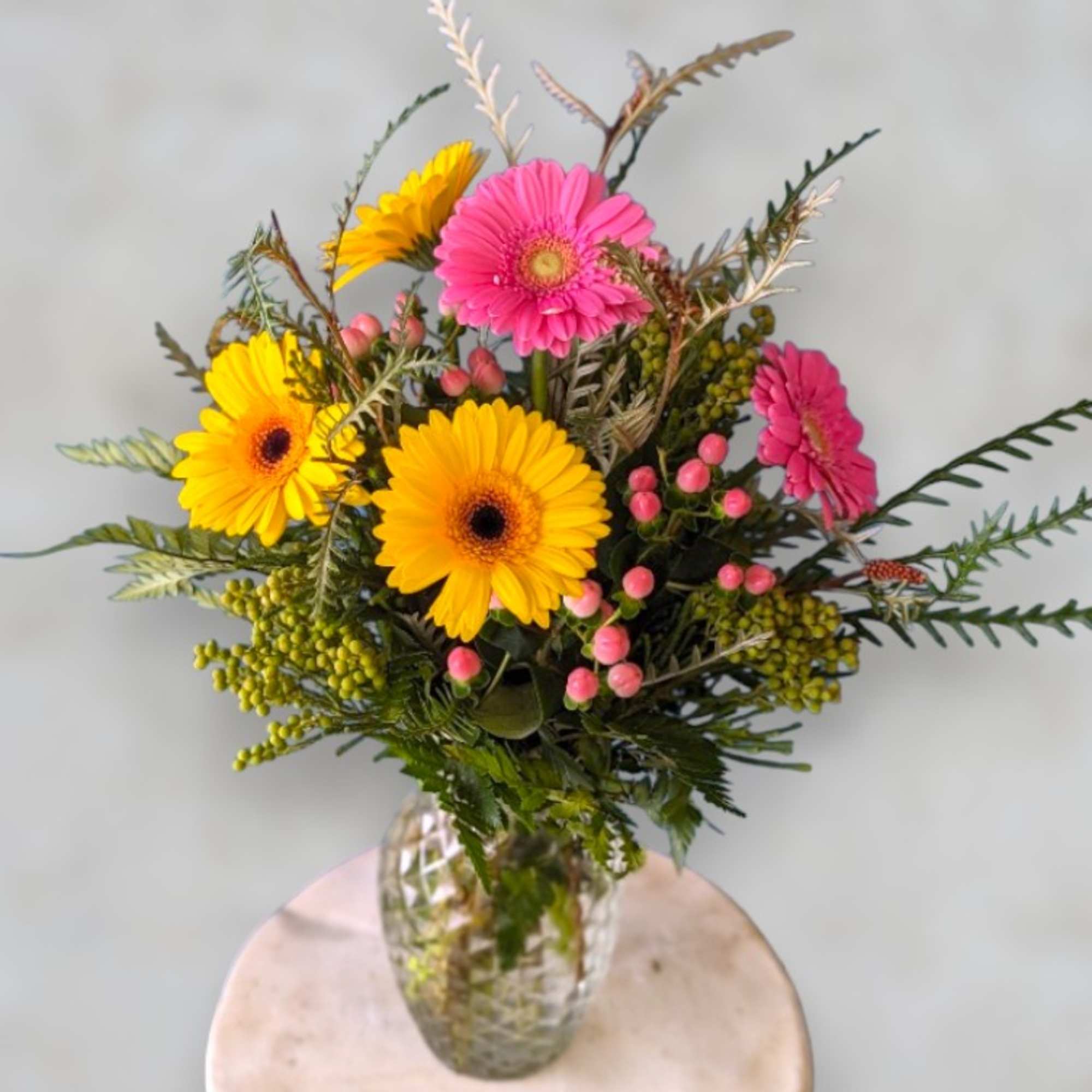 Introducing "Darling Daisies": A charming floral arrangement featuring six vibrant gerbera daisies Introducing "Darling Daisies": A charming floral arrangement featuring six vibrant gerbera daisies