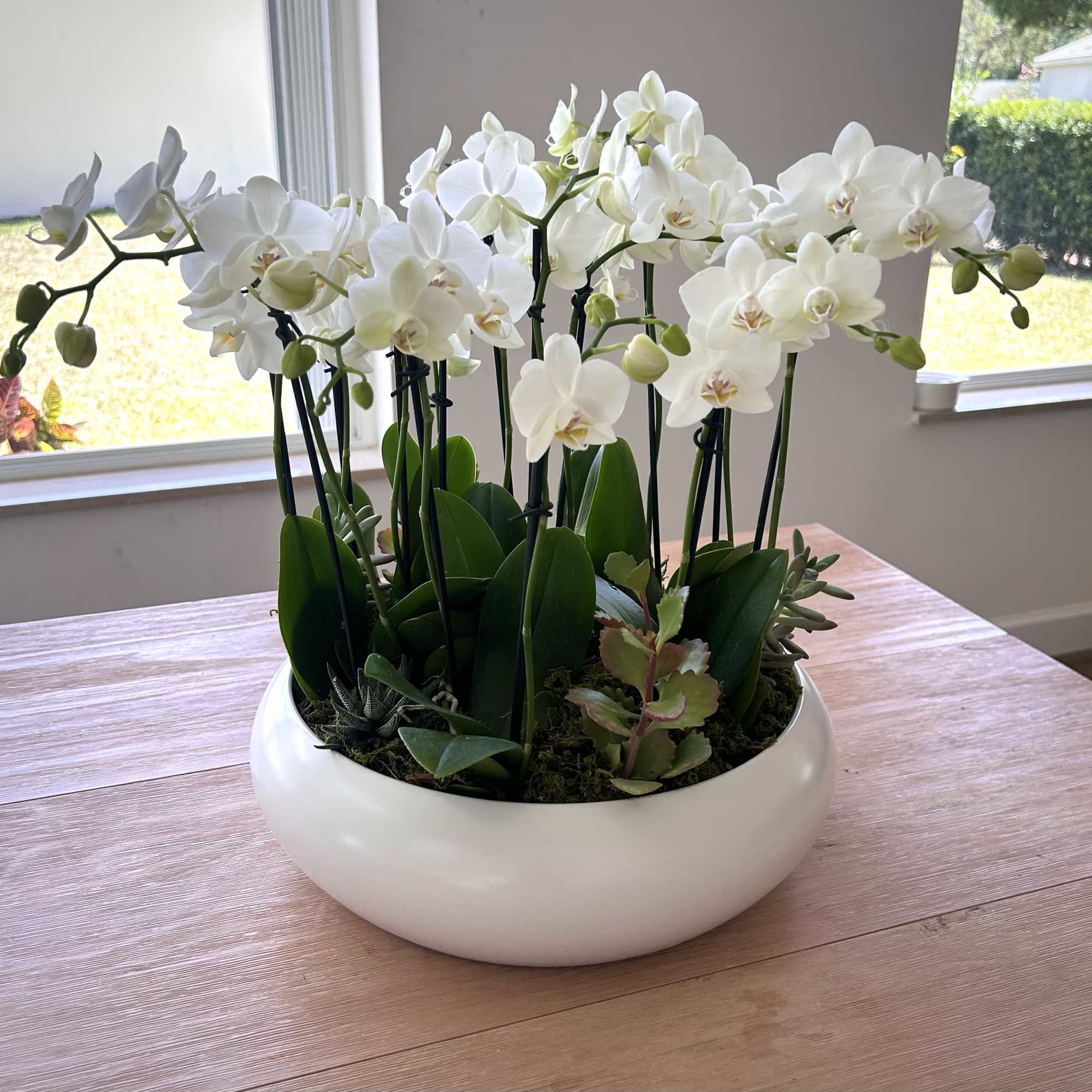 This arrangement contains either 3 double stems or 5 single stems of