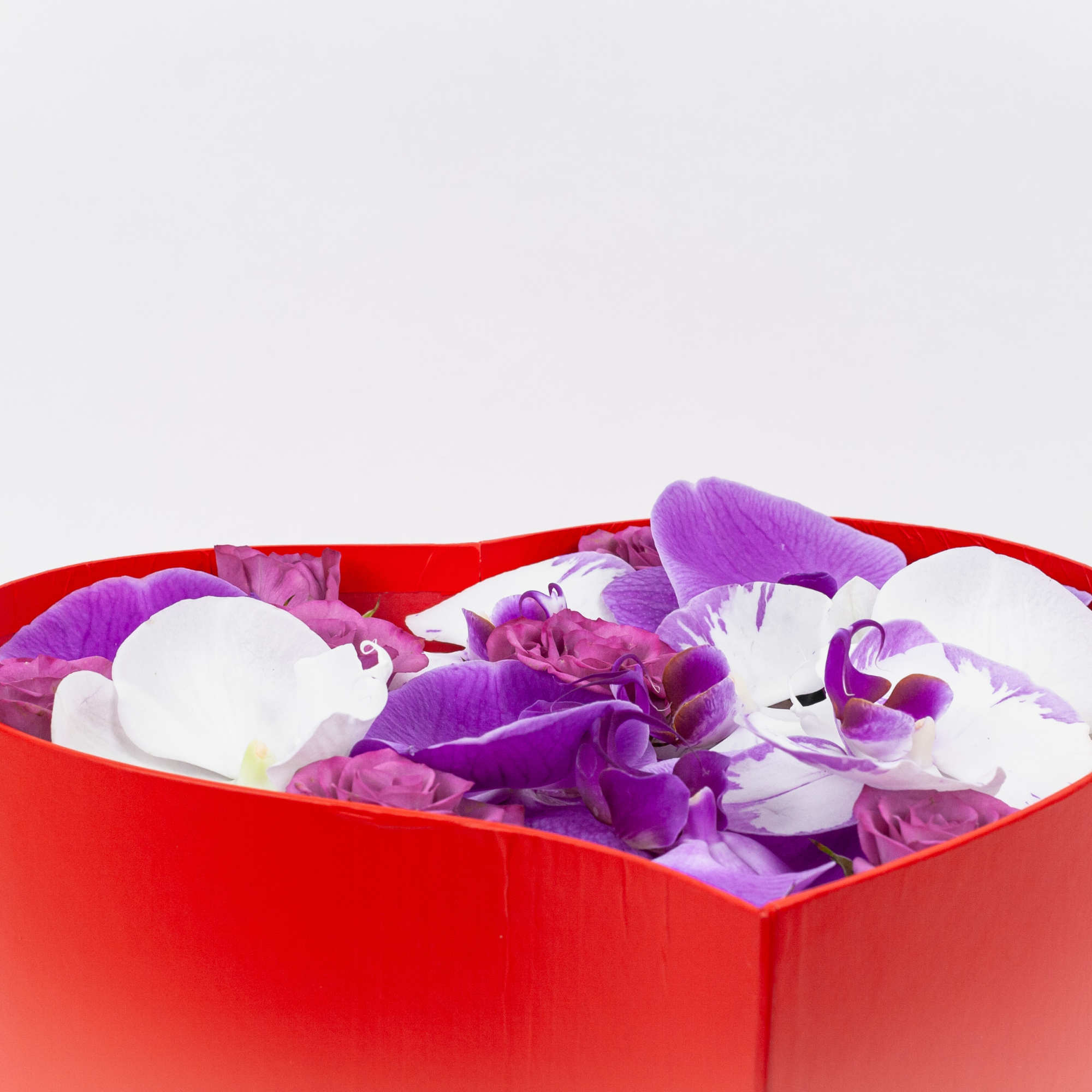 Heart Box made of spray roses, hydrangea, and blossoms of phalaenopsis orchids.