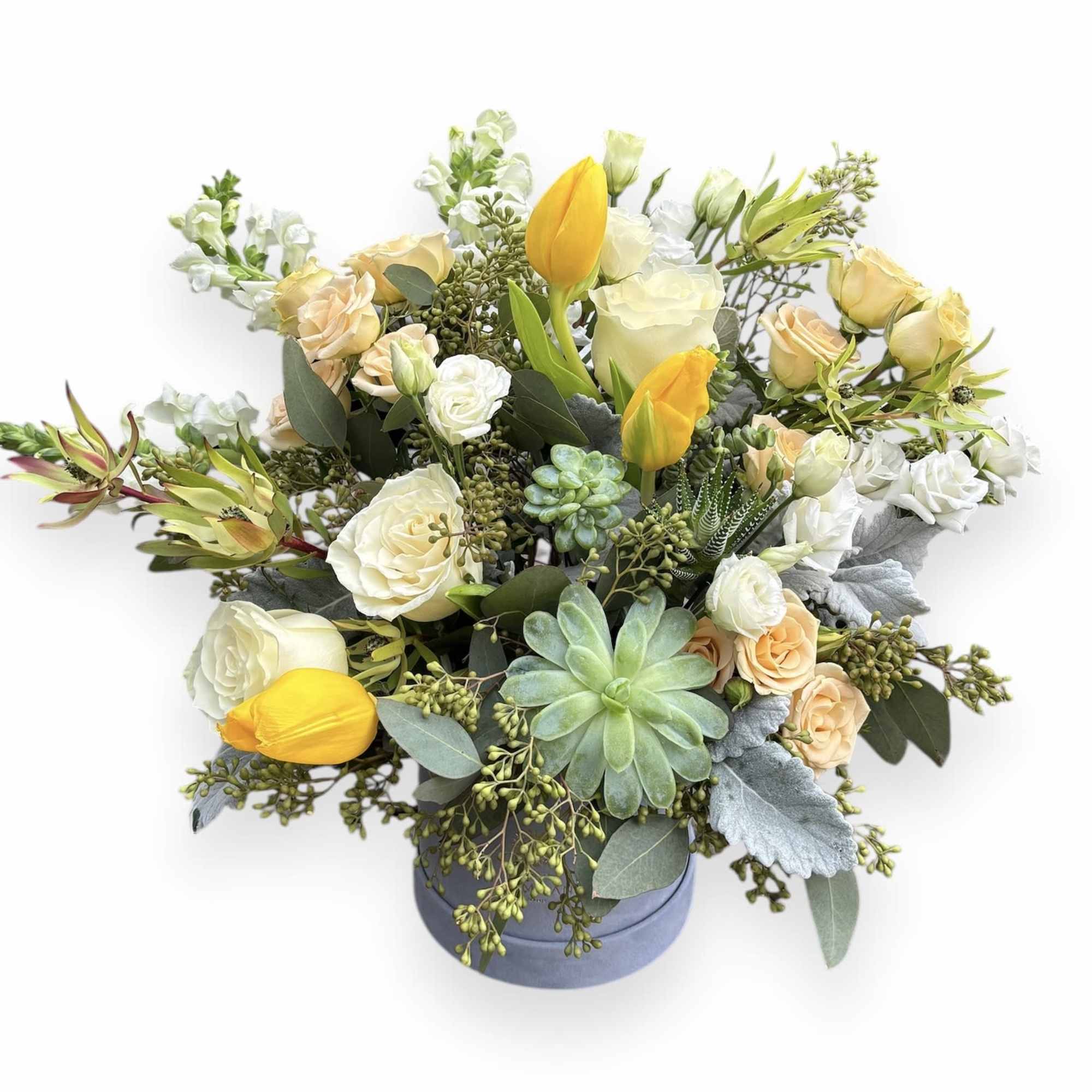 A beautiful velvet blue logo box full of gorgeous flowers. Large and