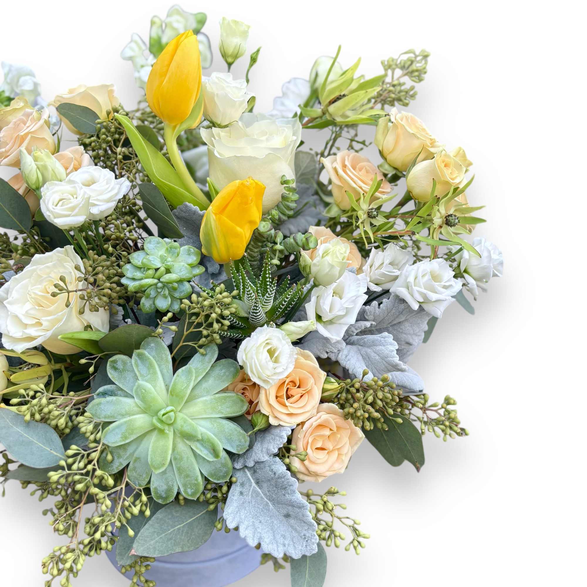 A beautiful velvet blue logo box full of gorgeous flowers. Large and