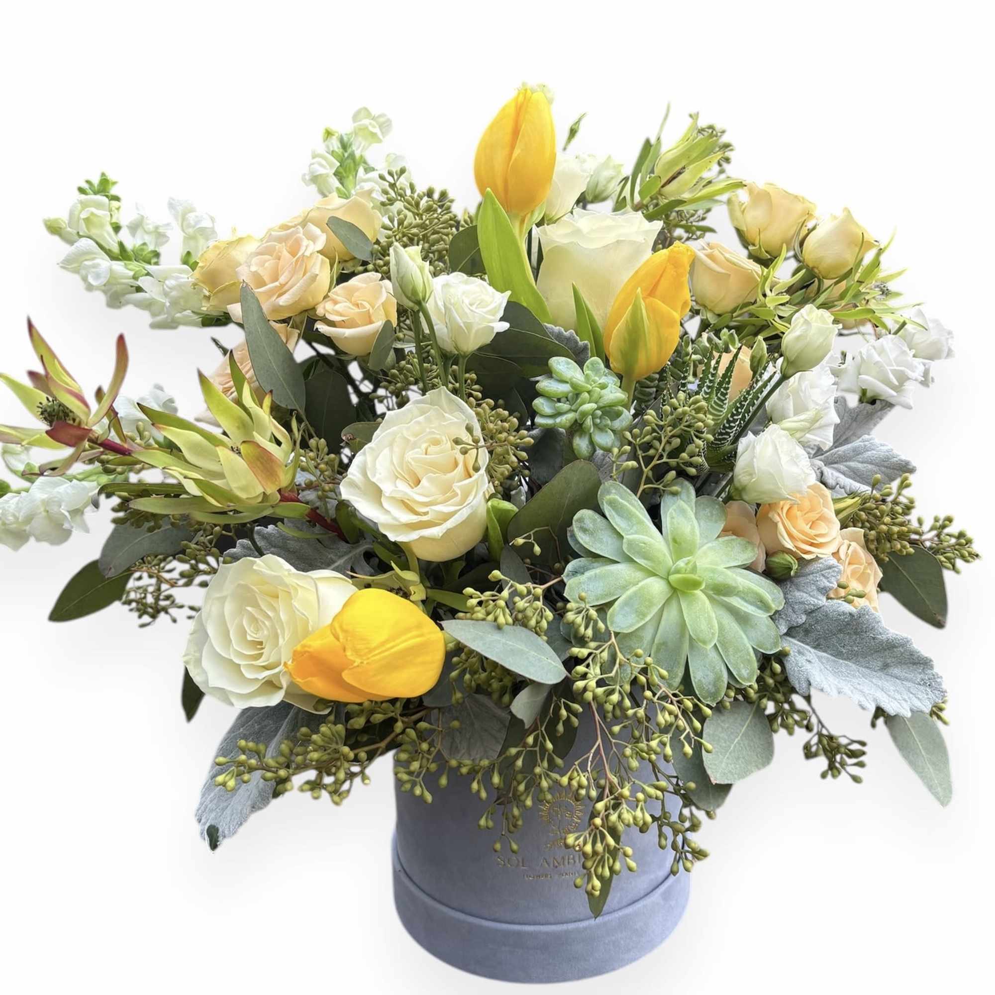 A beautiful velvet blue logo box full of gorgeous flowers. Large and