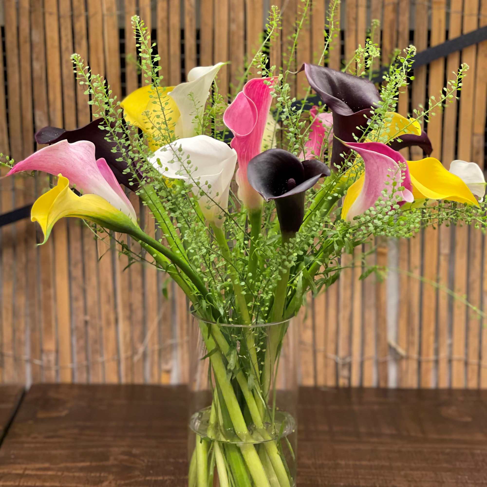Colorful Cala Lilies 