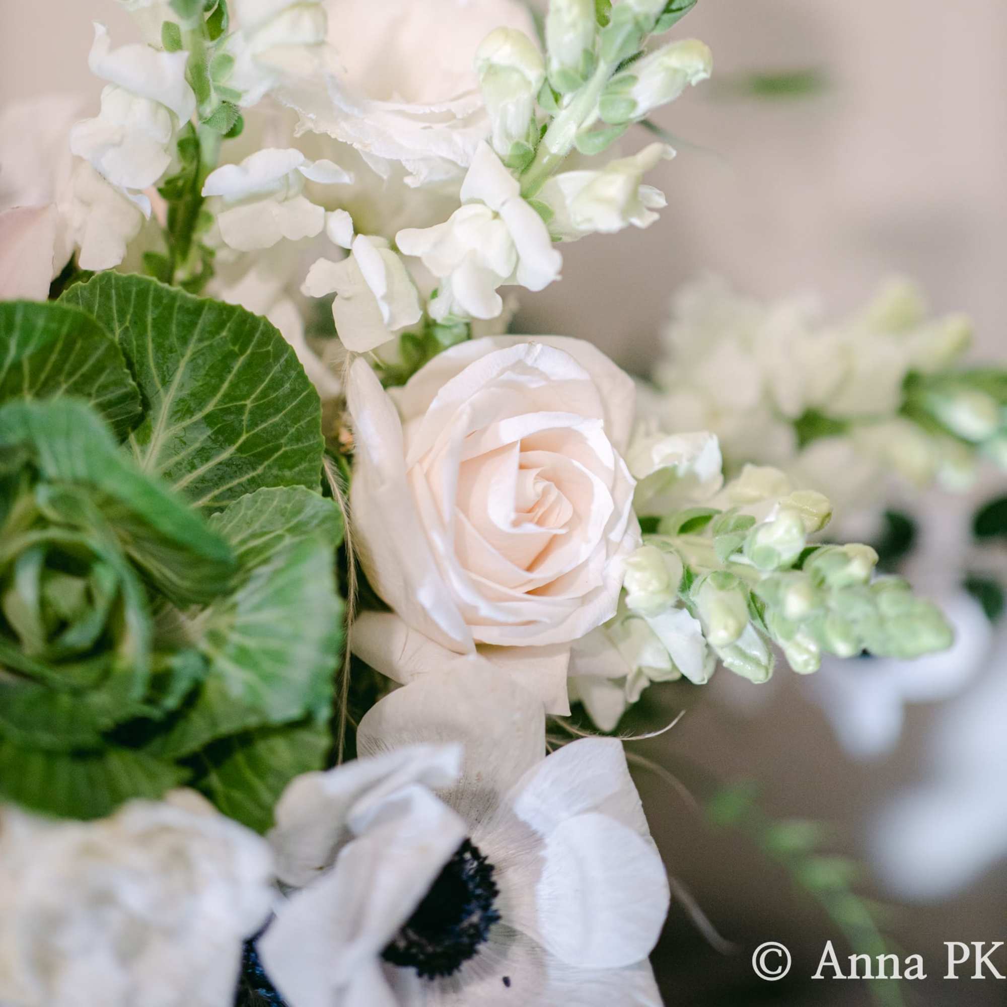  Perfect for any occasion as white color is always in fashion.