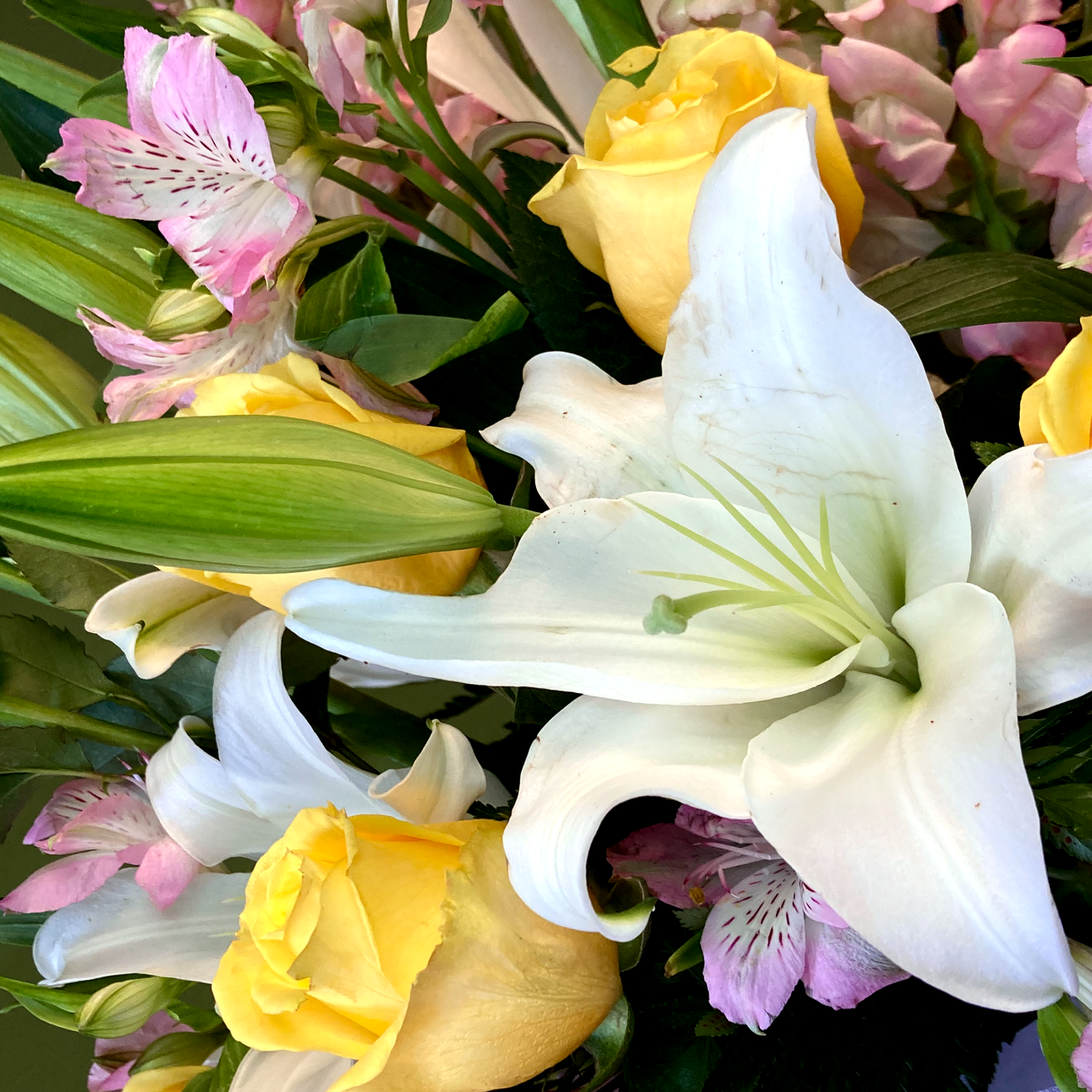 Sunshine is a radiant mixed arrangement that showcases a bright palette of