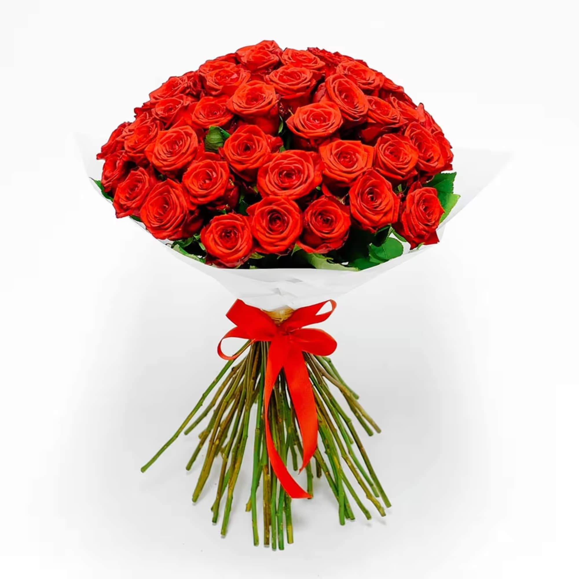 50 Long stem red roses 