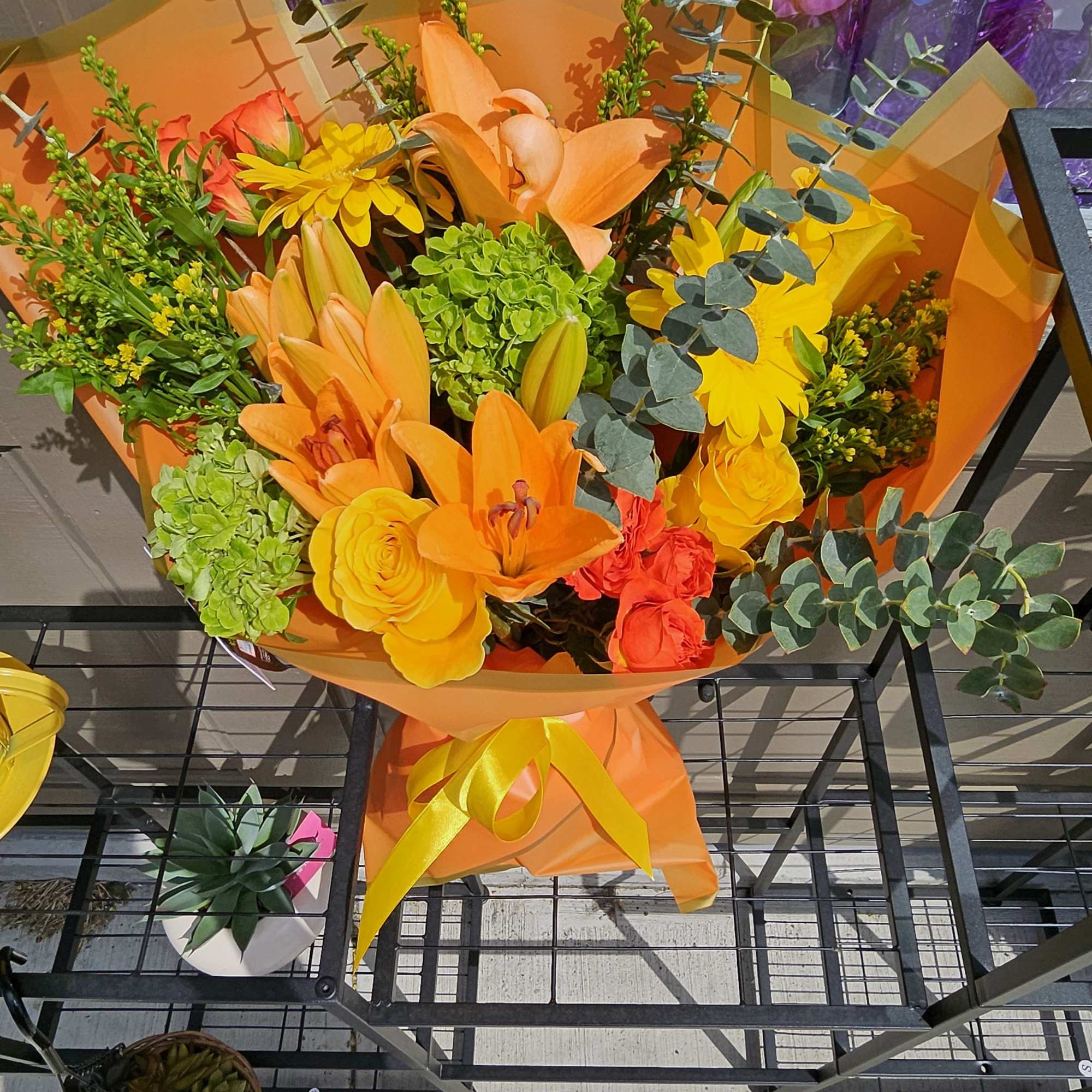 Colorful  Luxury Blooms