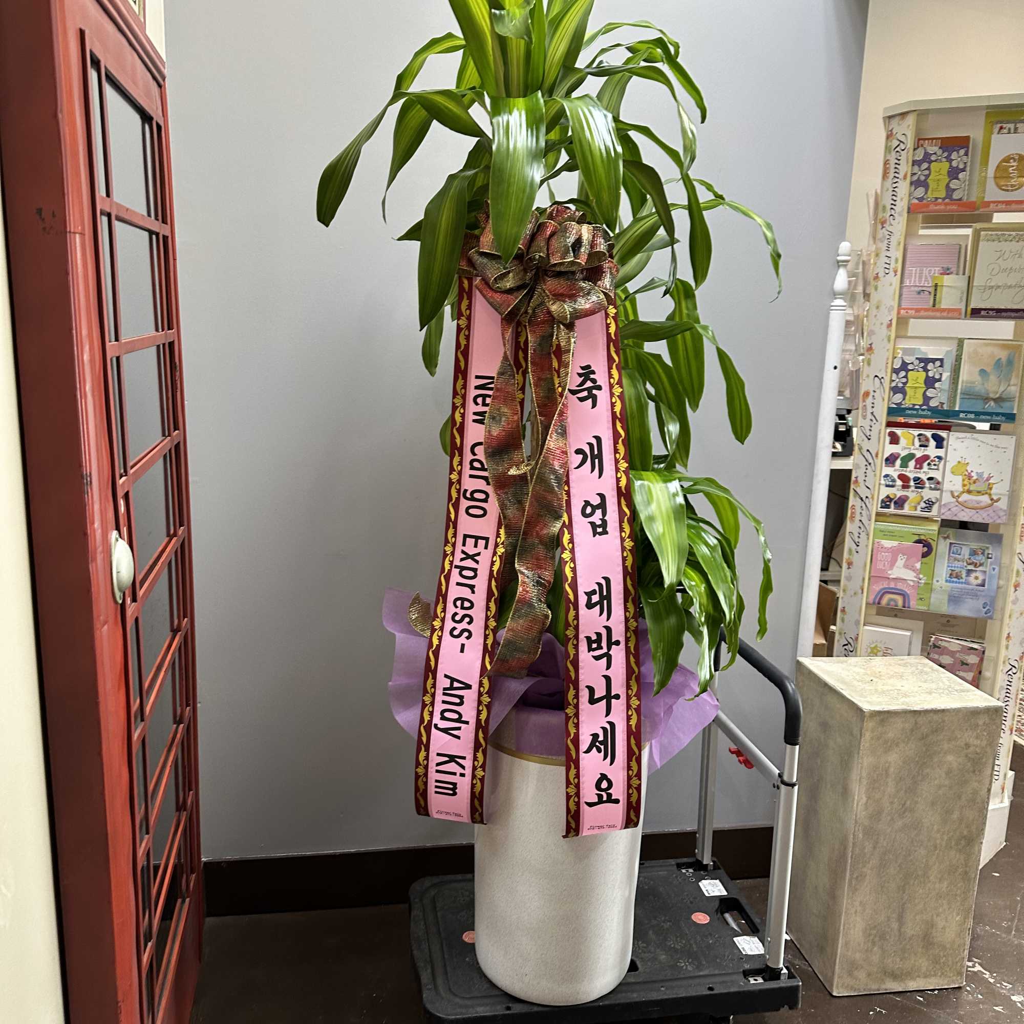 Approx 5-6 Feet
If you would like a ribbon, please write it in Approx 5-6 Feet
If you would like a ribbon, please write it in