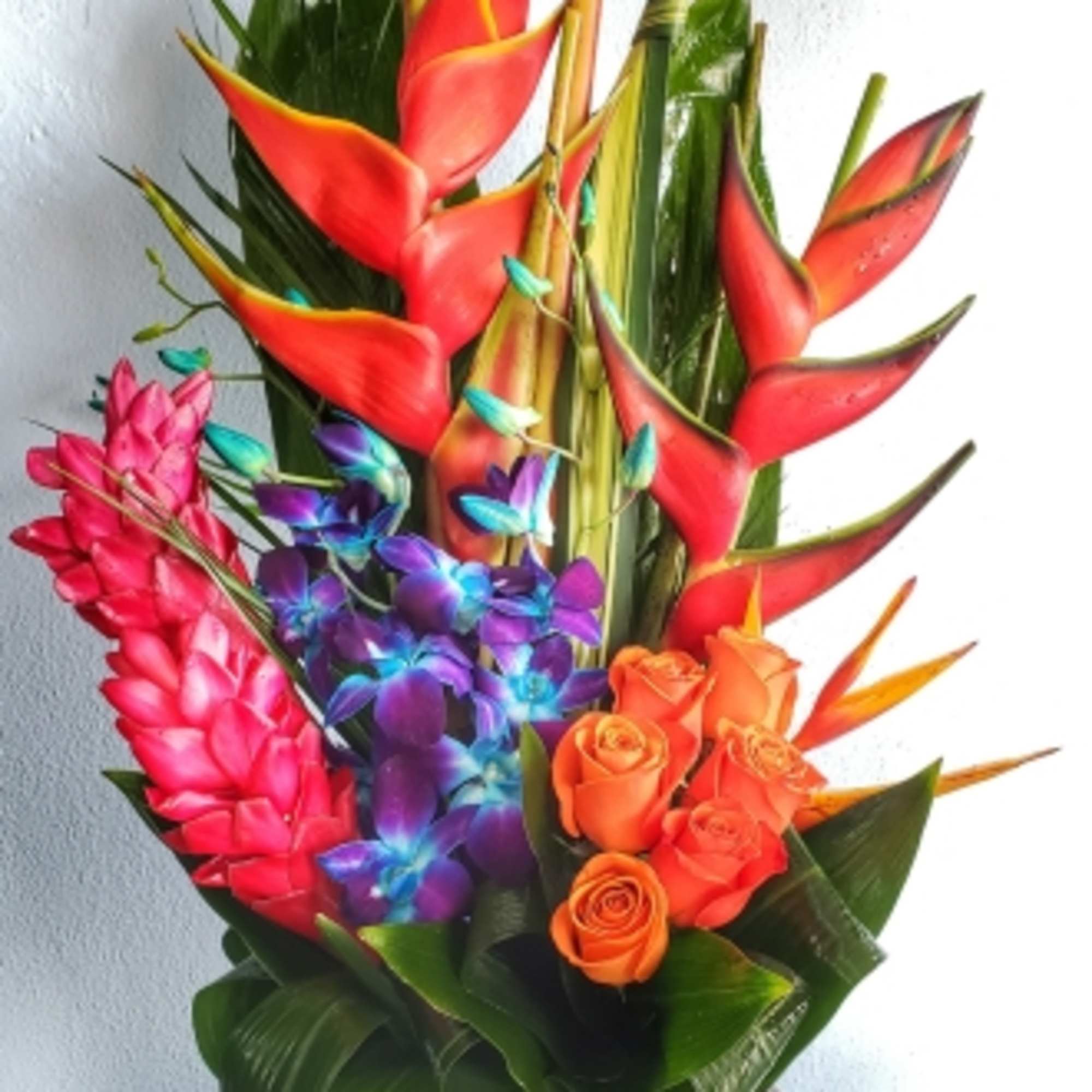 Medium Tropical With Blue Orchids & 1/2 Dozen Roses FS17 in North