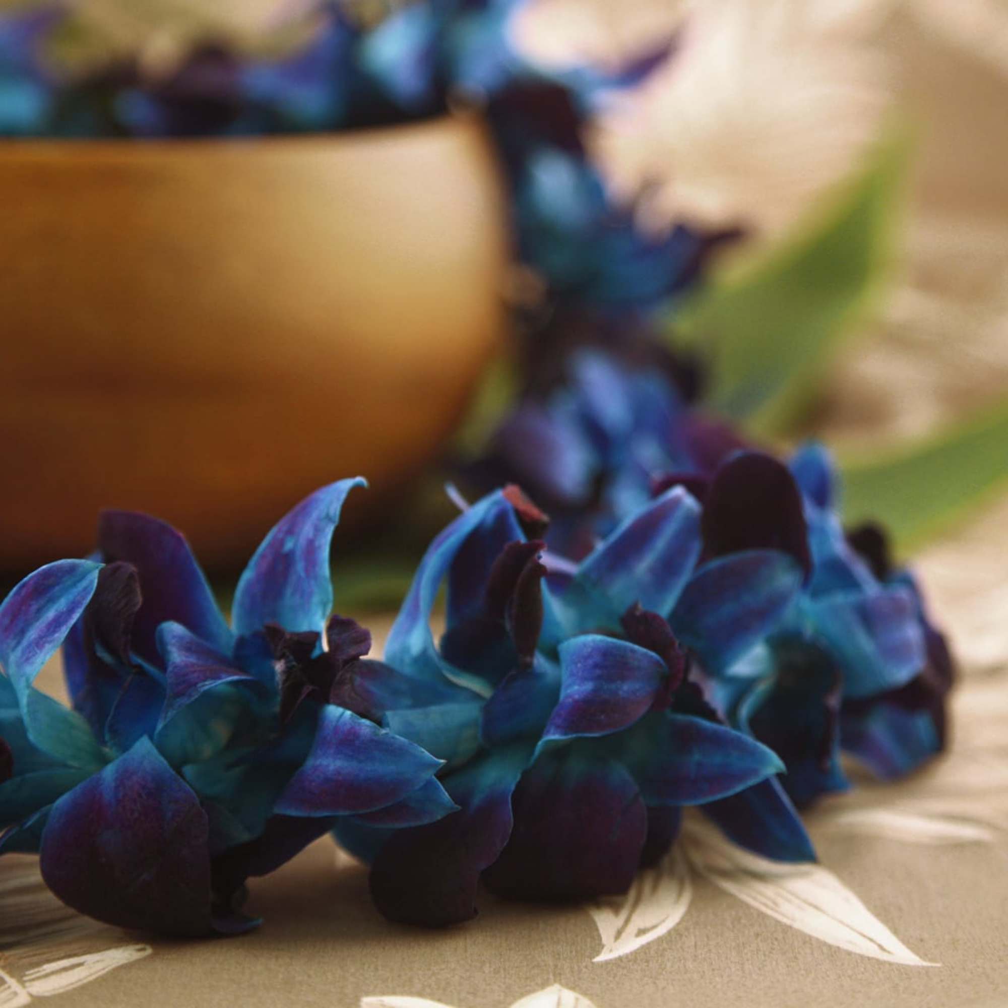 A beautiful, premium, Blue double orchid lei! These leis look great over