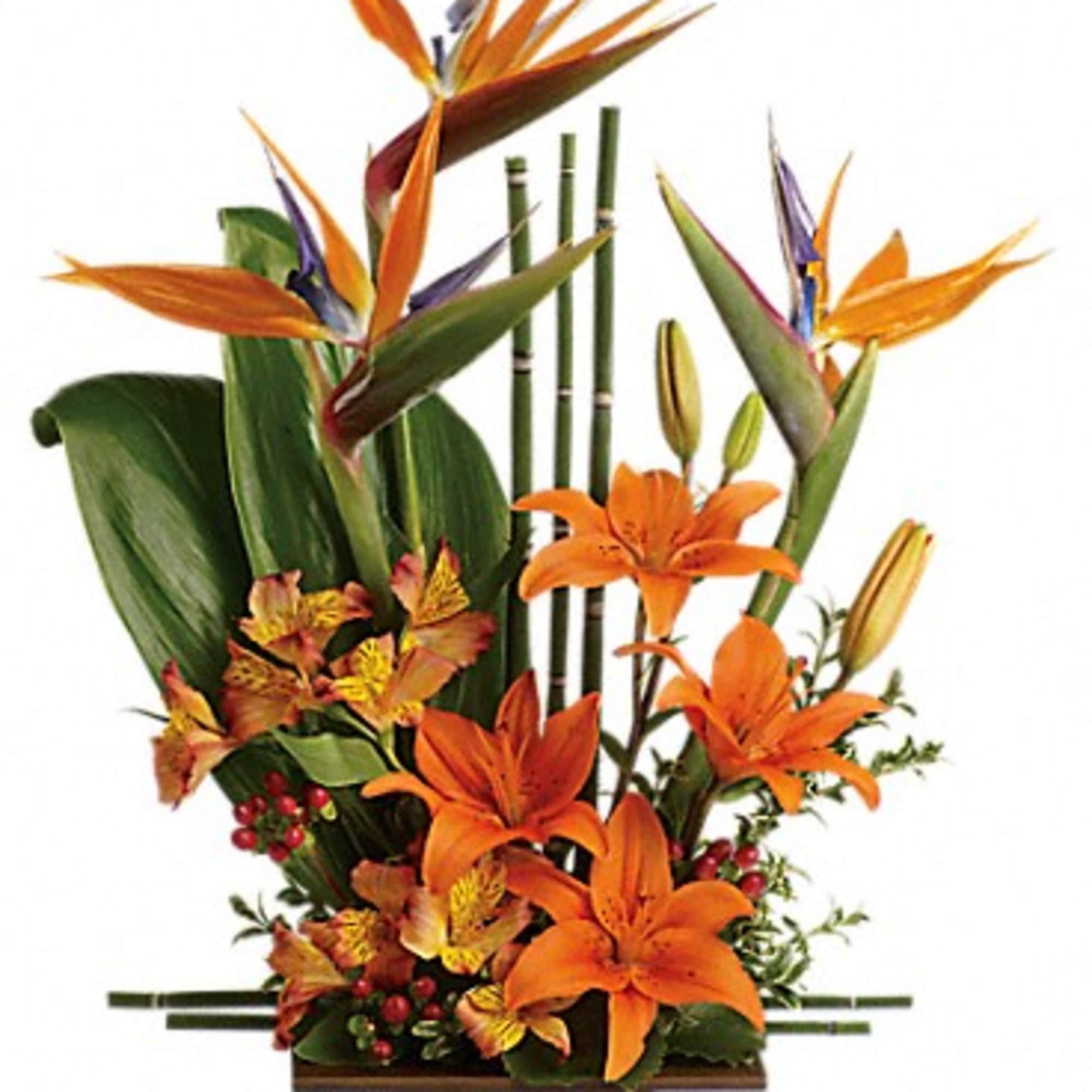 Looking for something with a bit of Zen? With tall bamboo and