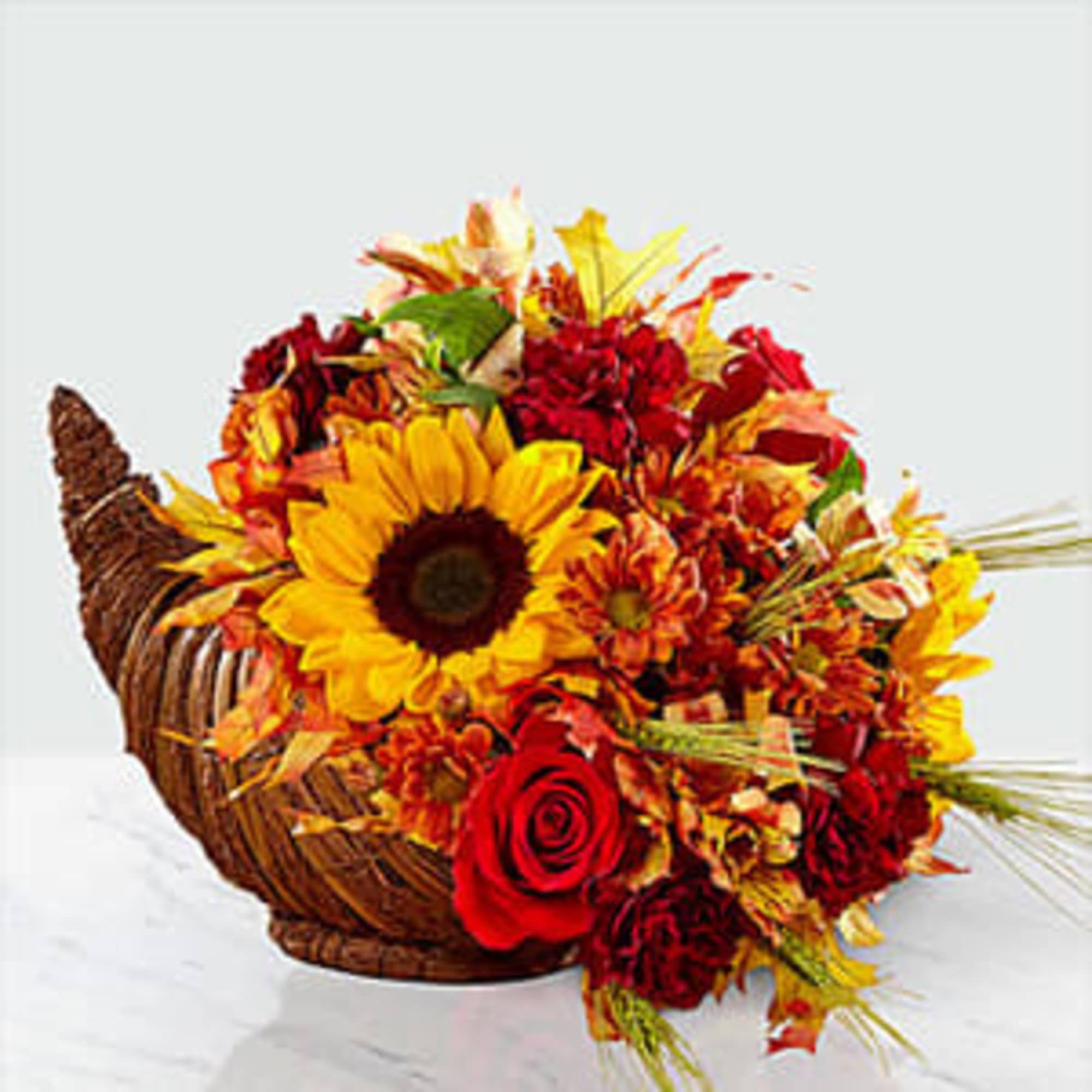 Fall brings bold colors, crisp winds, and warm moments to share with