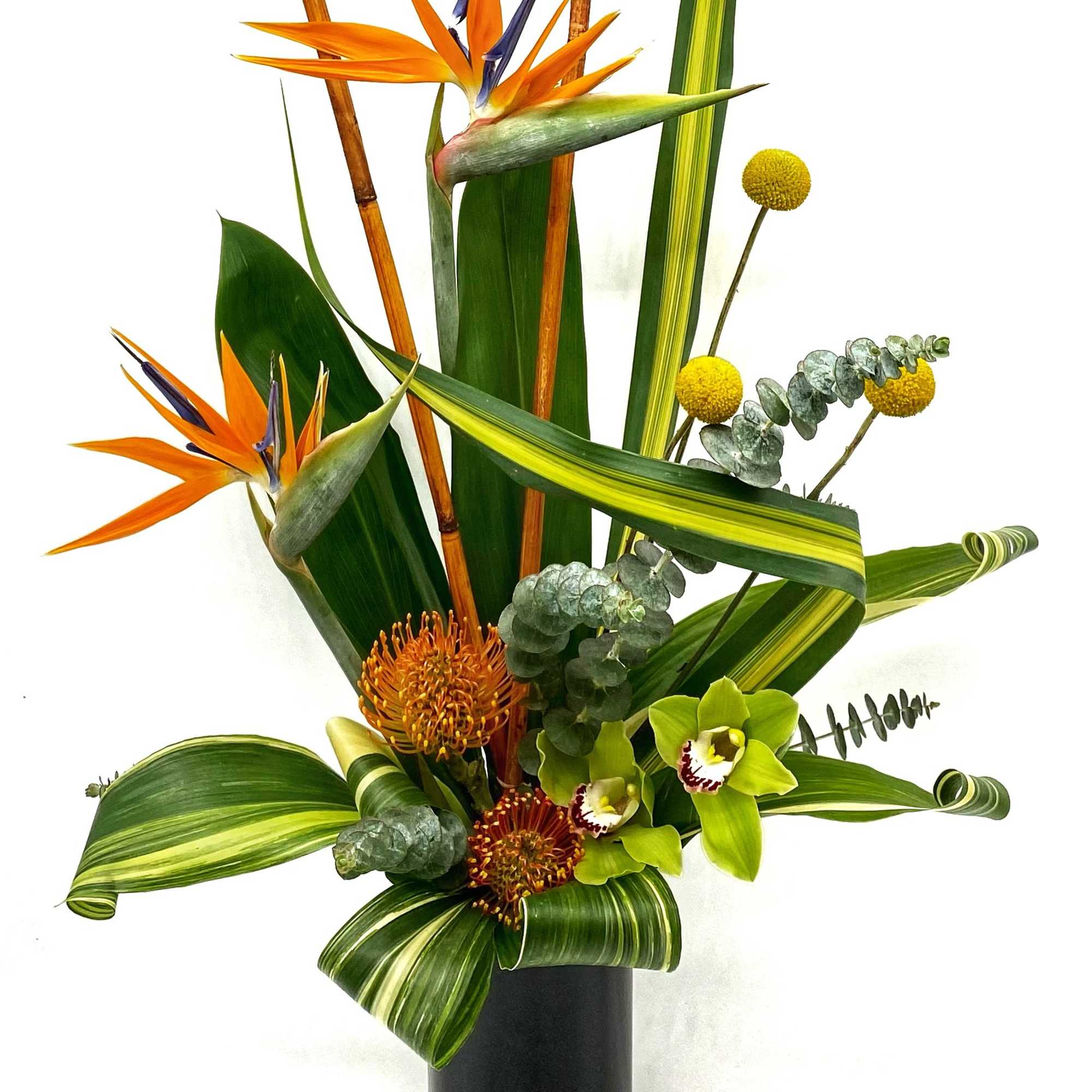 Clean crisp lines with beautiful and bright colors only tropical flowers can