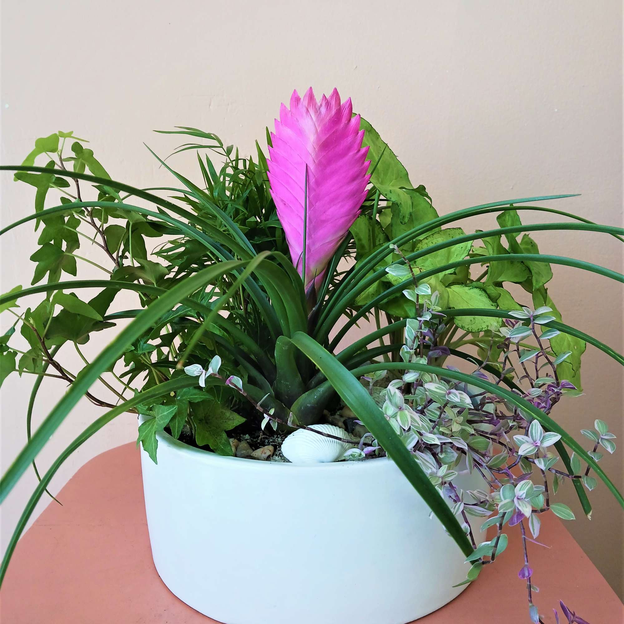 A mix of plants, potted in a white ceramic vase.