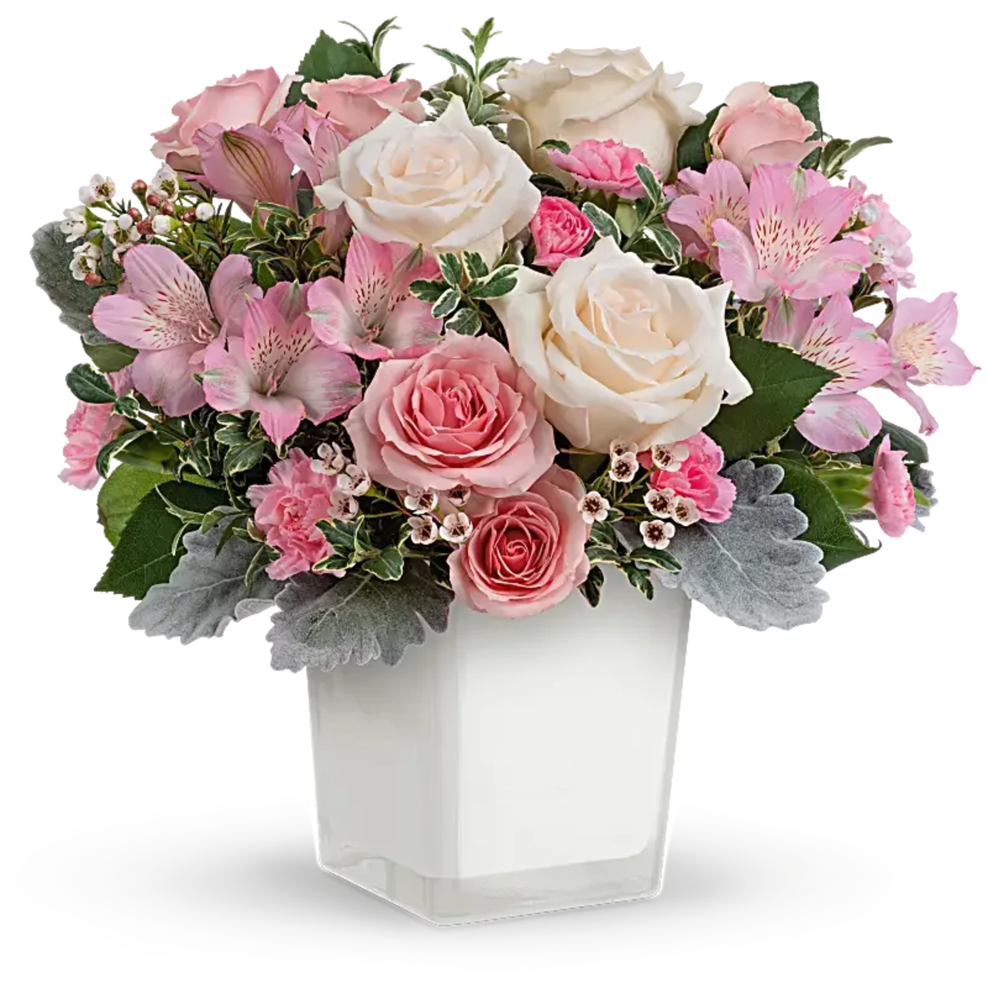Nothing's sweeter than the prettiest pink and cream roses presented in a Nothing's sweeter than the prettiest pink and cream roses presented in a