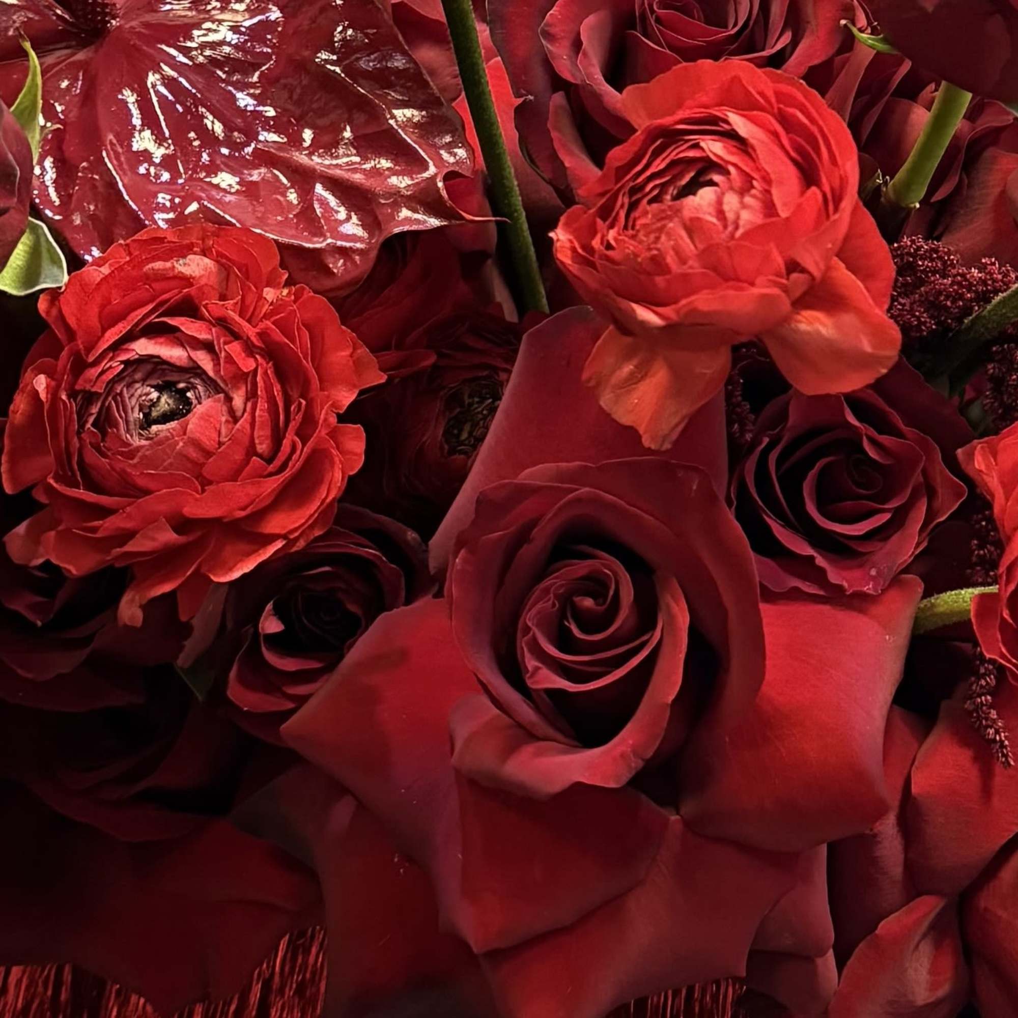 This all-red arrangement is a bold and captivating display, featuring rich, velvety