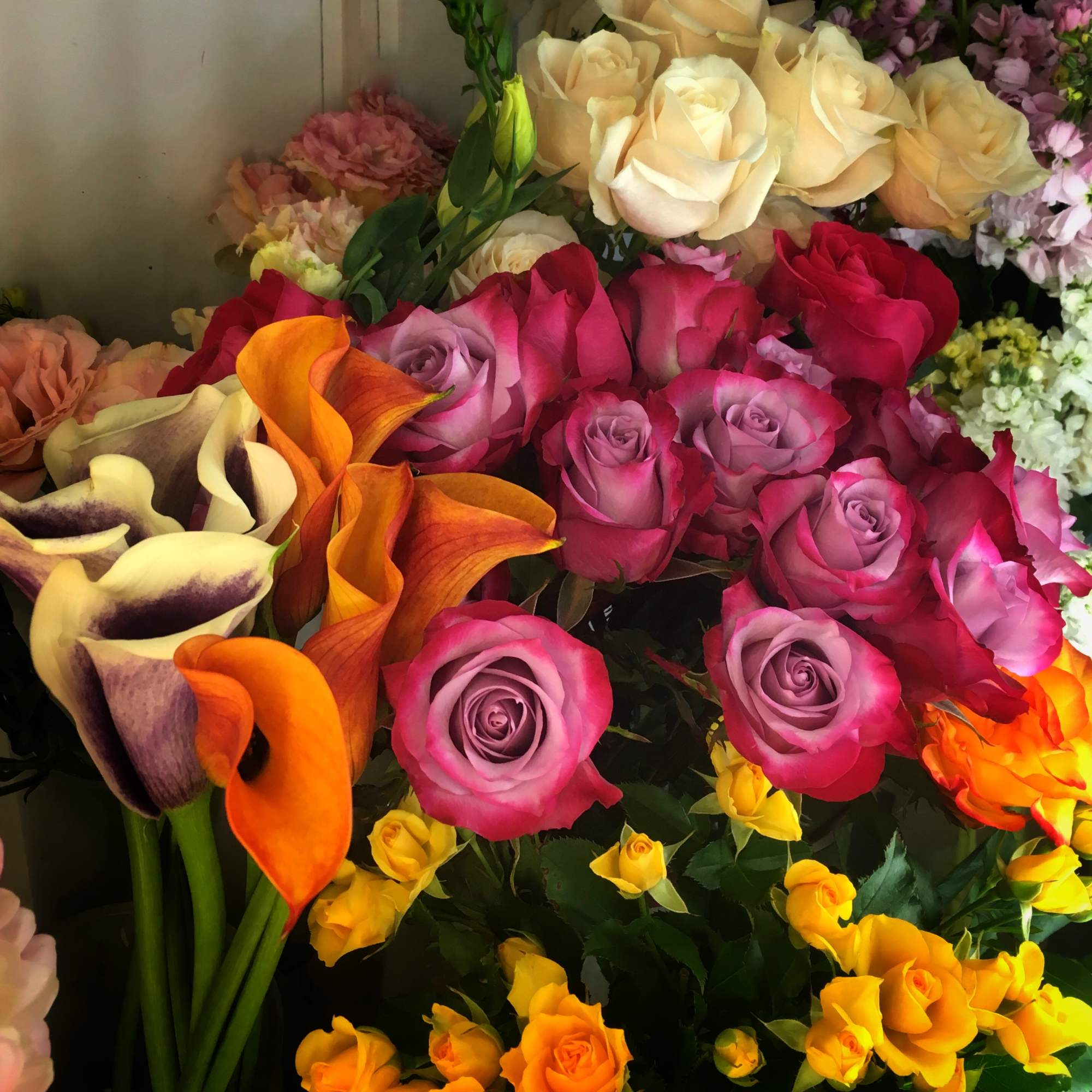 Mix Flowers in different variety and colors.
(If you like Tall or Short