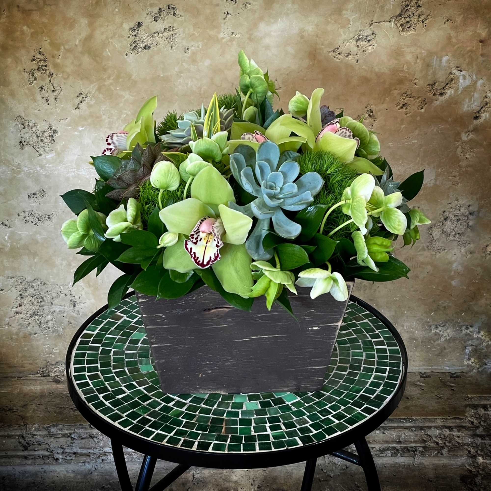 Cymbidium Orchid, Succulents, Hellebore in rustic Wood Container.