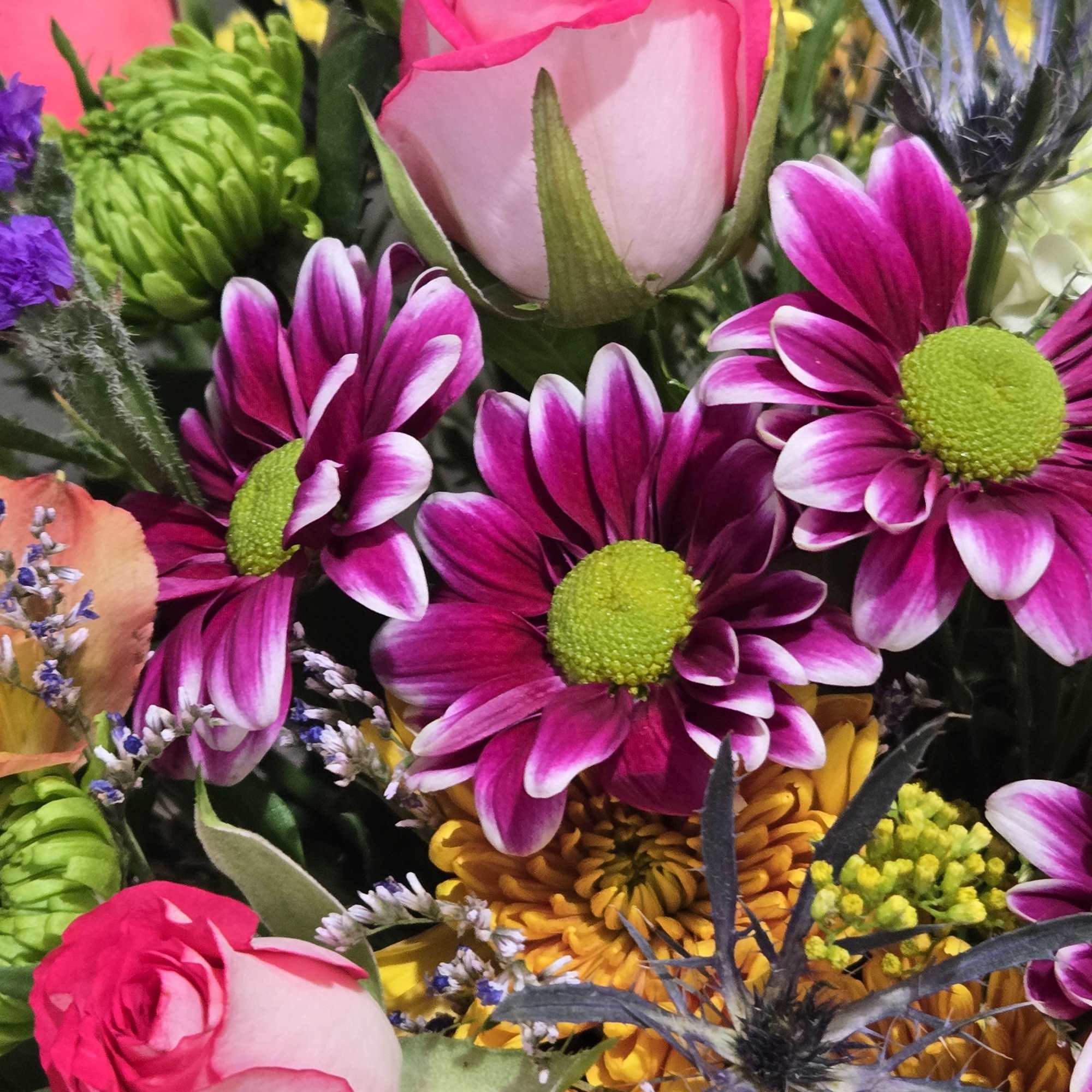 Custom selection of bold color pallette with this floral choice. The selection