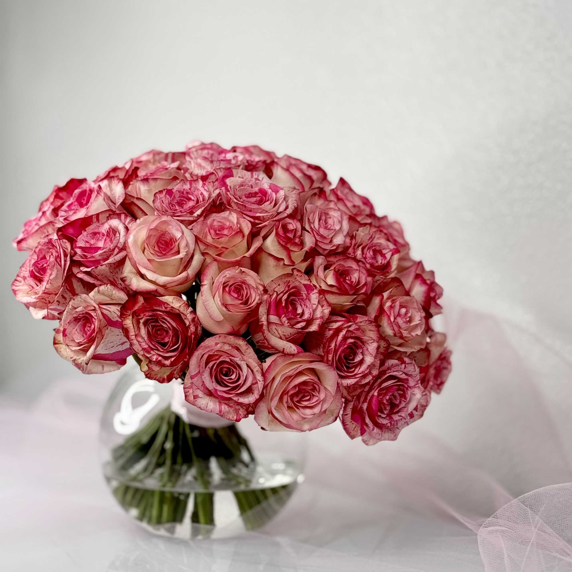 50 Diamond  bicolor Pink Diamond roses in a glass cylinder vase.