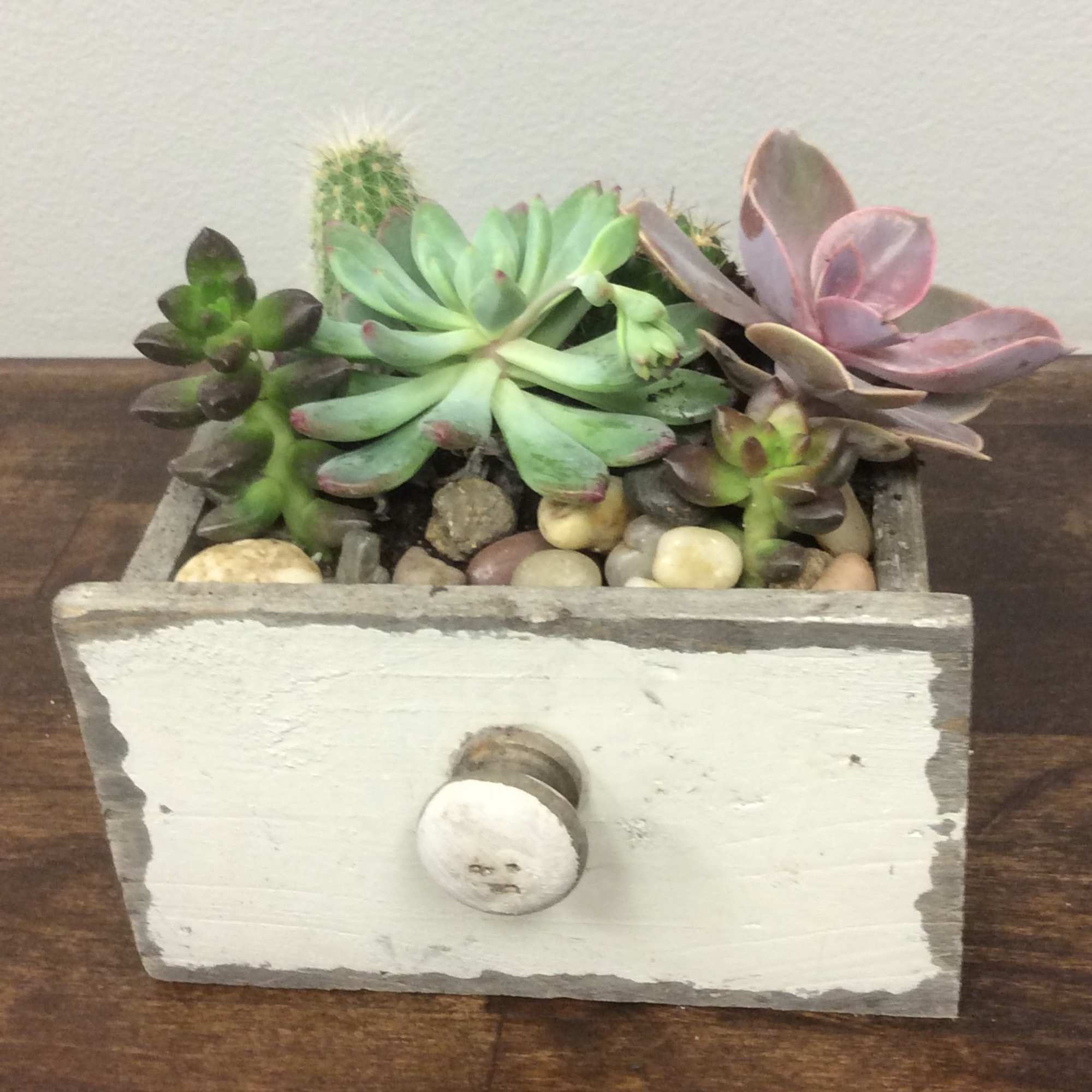 Succulents are the newest trend in flowers- and offers an easy-care, different