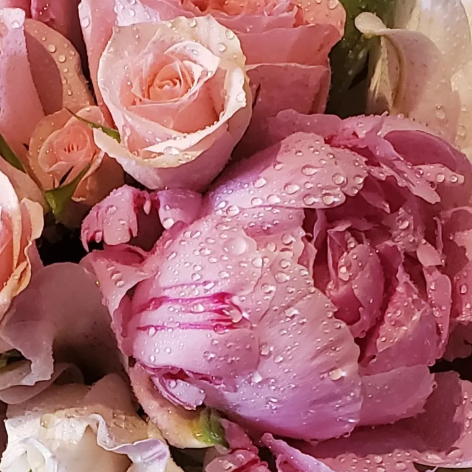 Transport yourself to a Parisian garden in springtime with this luxurious and