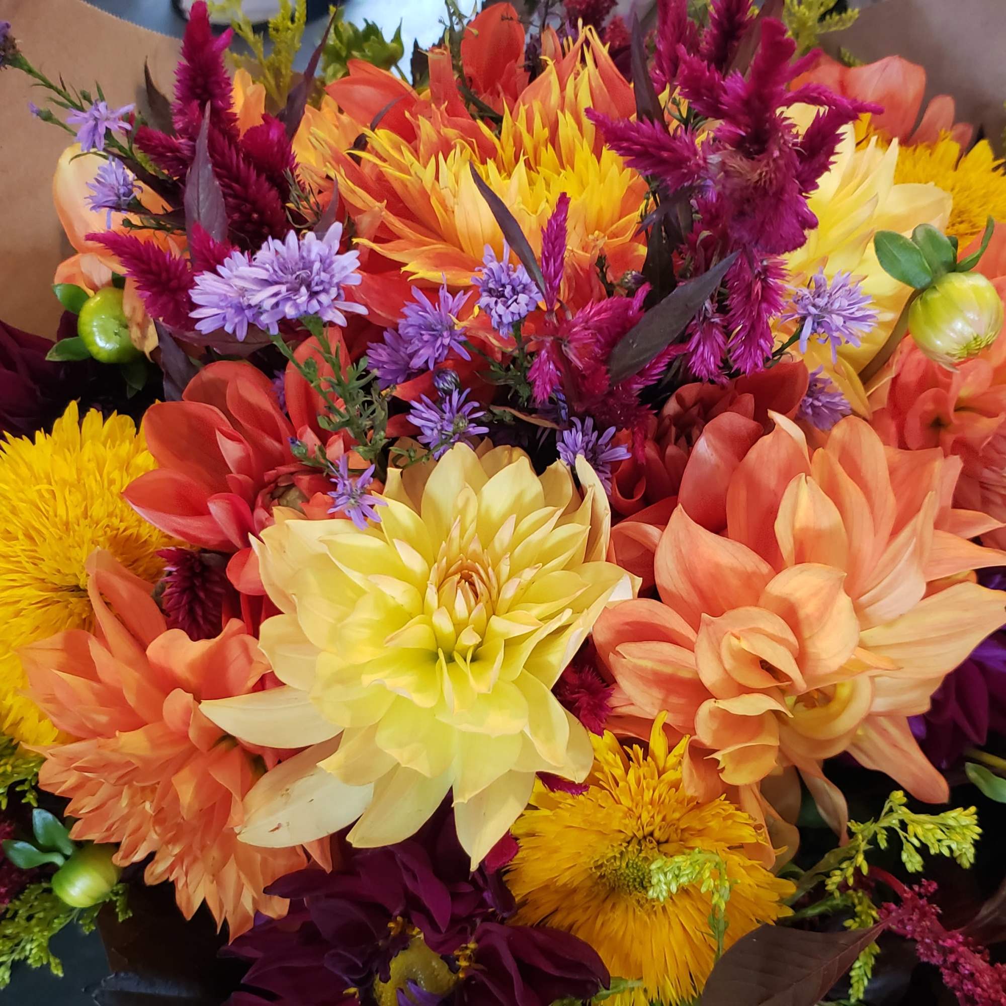 Pre-Order these gorgeous, vibrant wraps for that special someone.  Pre-Order these gorgeous, vibrant wraps for that special someone.