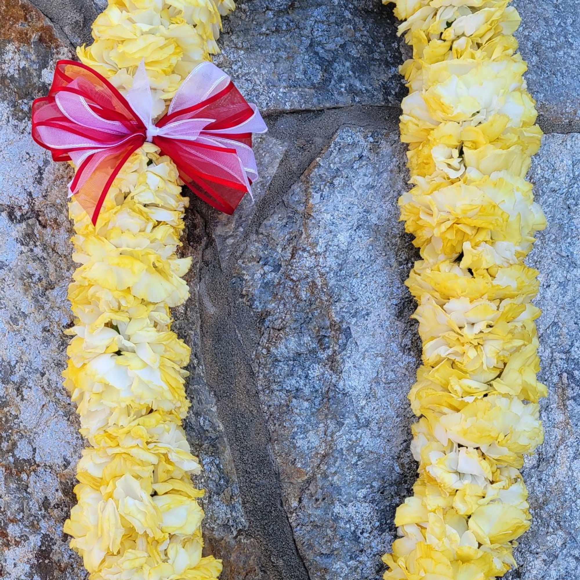 When you give someone a Hawaiian lei, it is a heartfelt gift