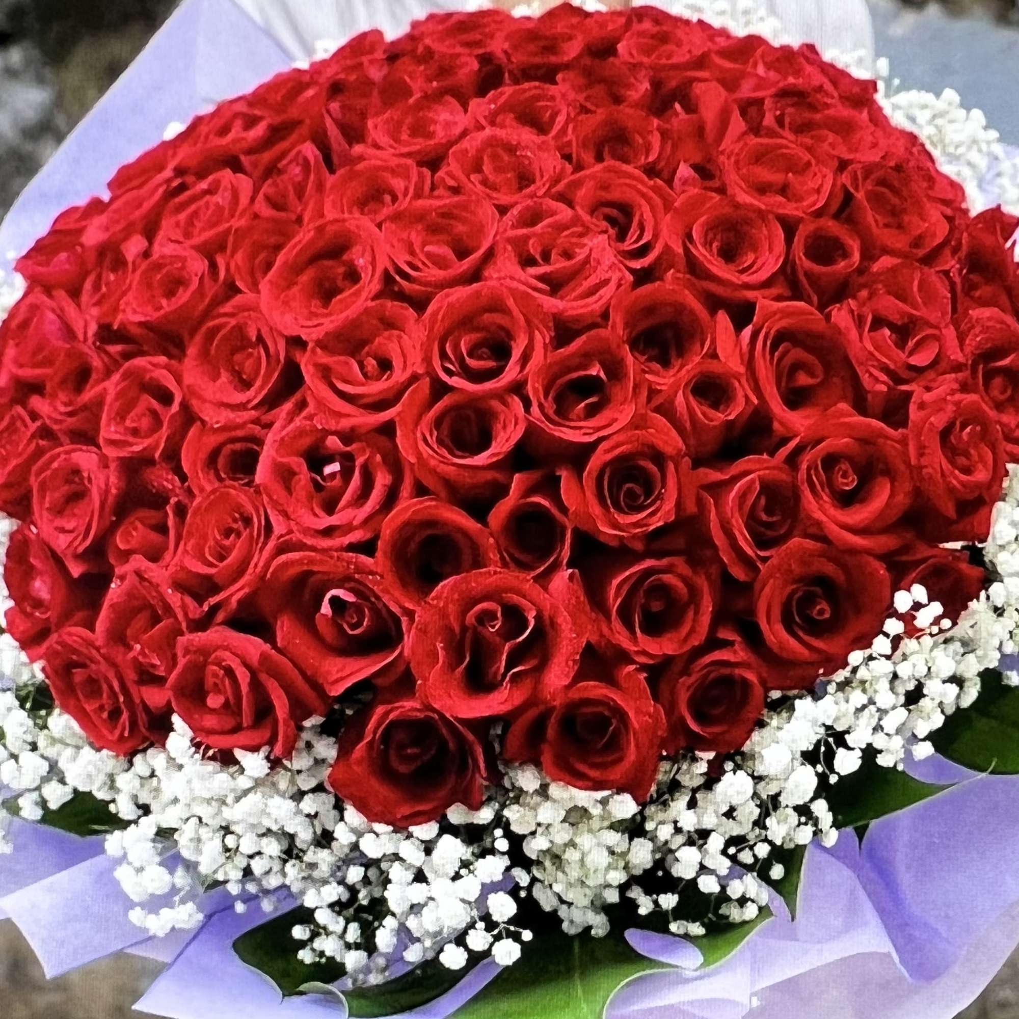 Hong Kong style red rose  bouquet 