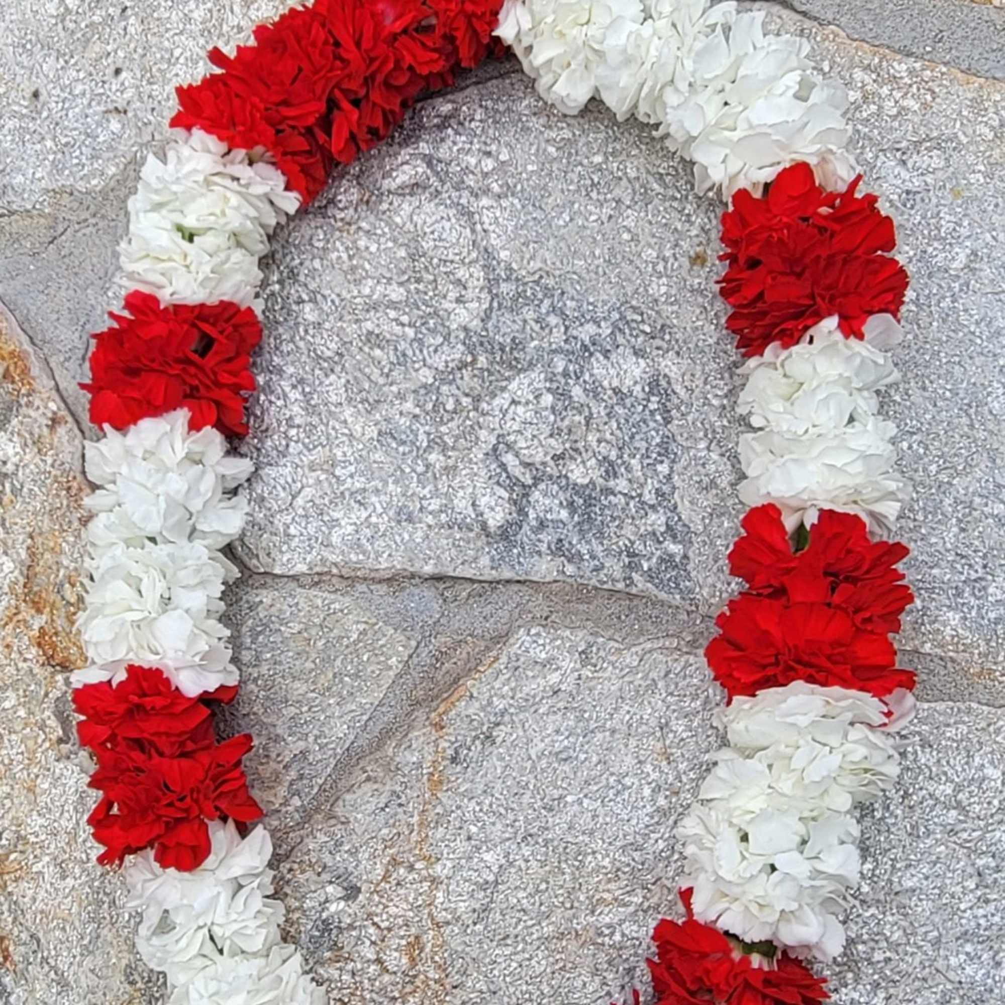 SPECIAL LEI ORDER INSTRUCTIONS: FOR OPTION TO PICK UP YOUR ORDER, PLEASE