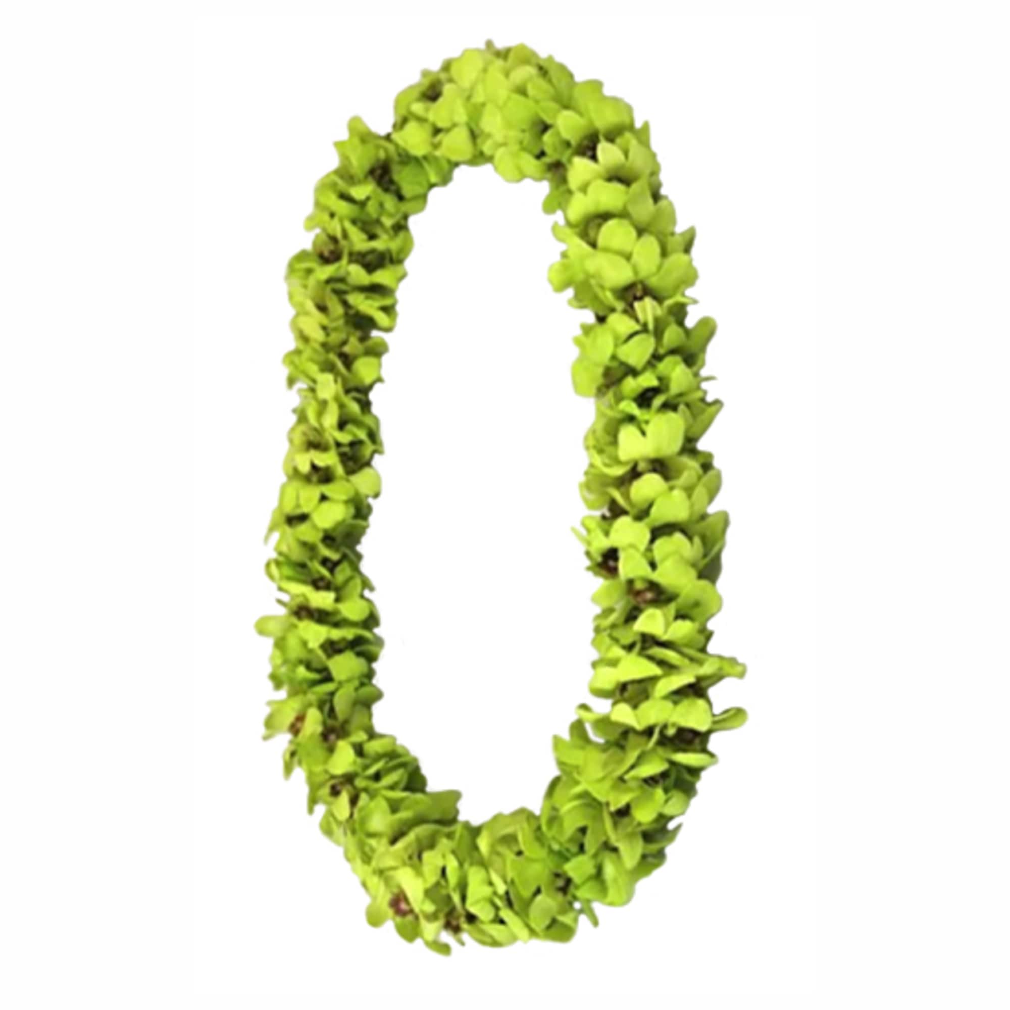 Petite green dendrobium orchids are used to create this simple single strand