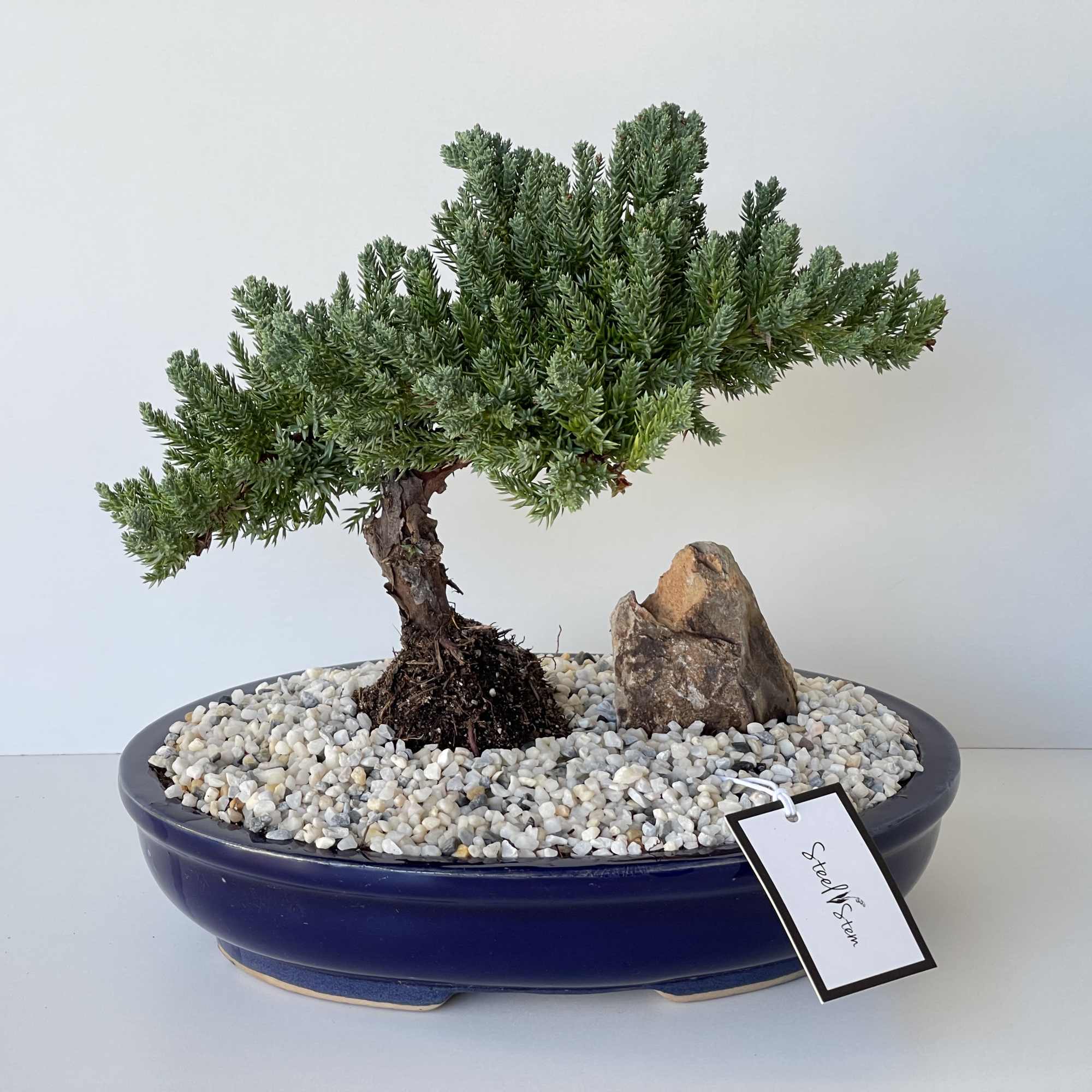 A perfect gift for anyone interested in the art of caring for