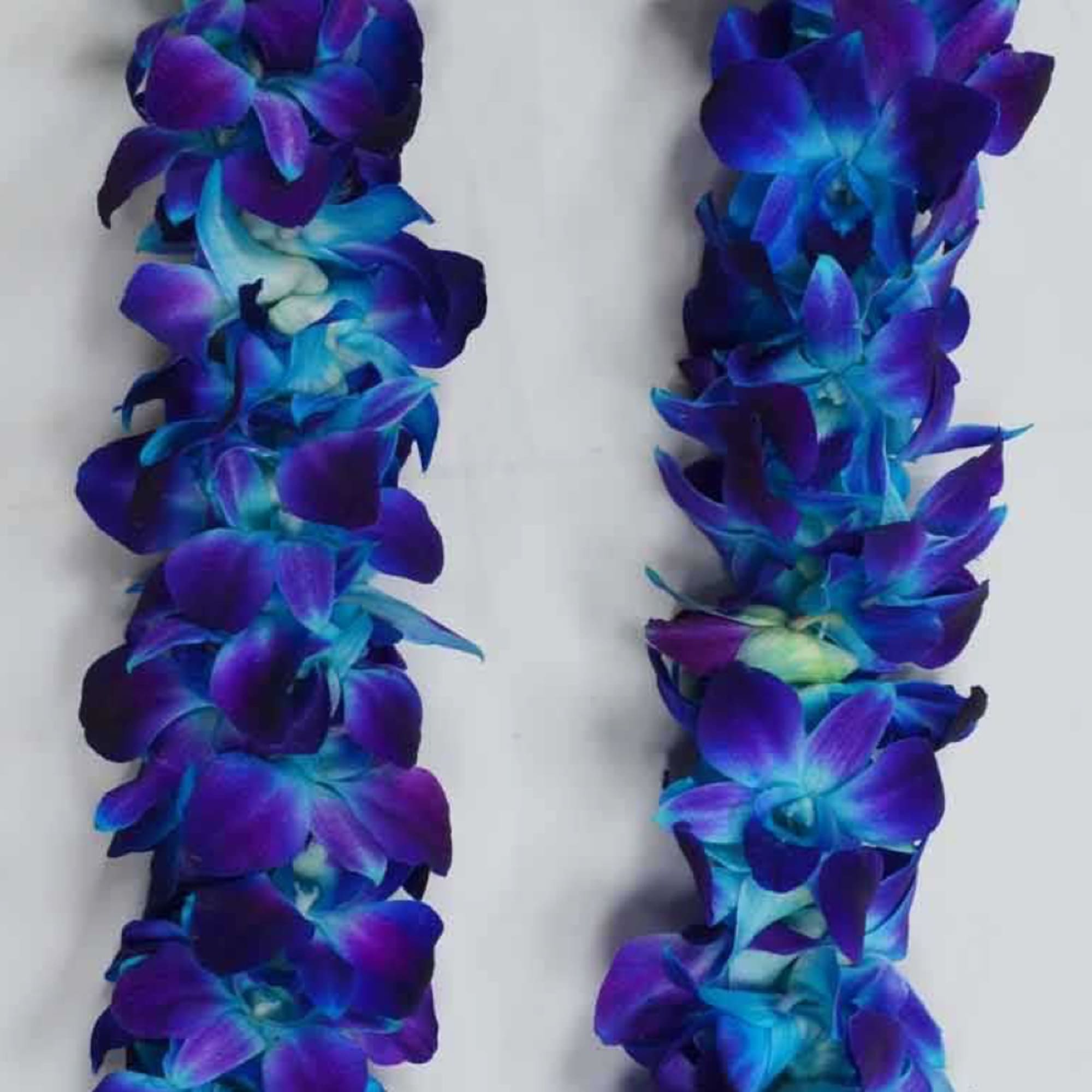 Dedicated double Orchid blossom lei.