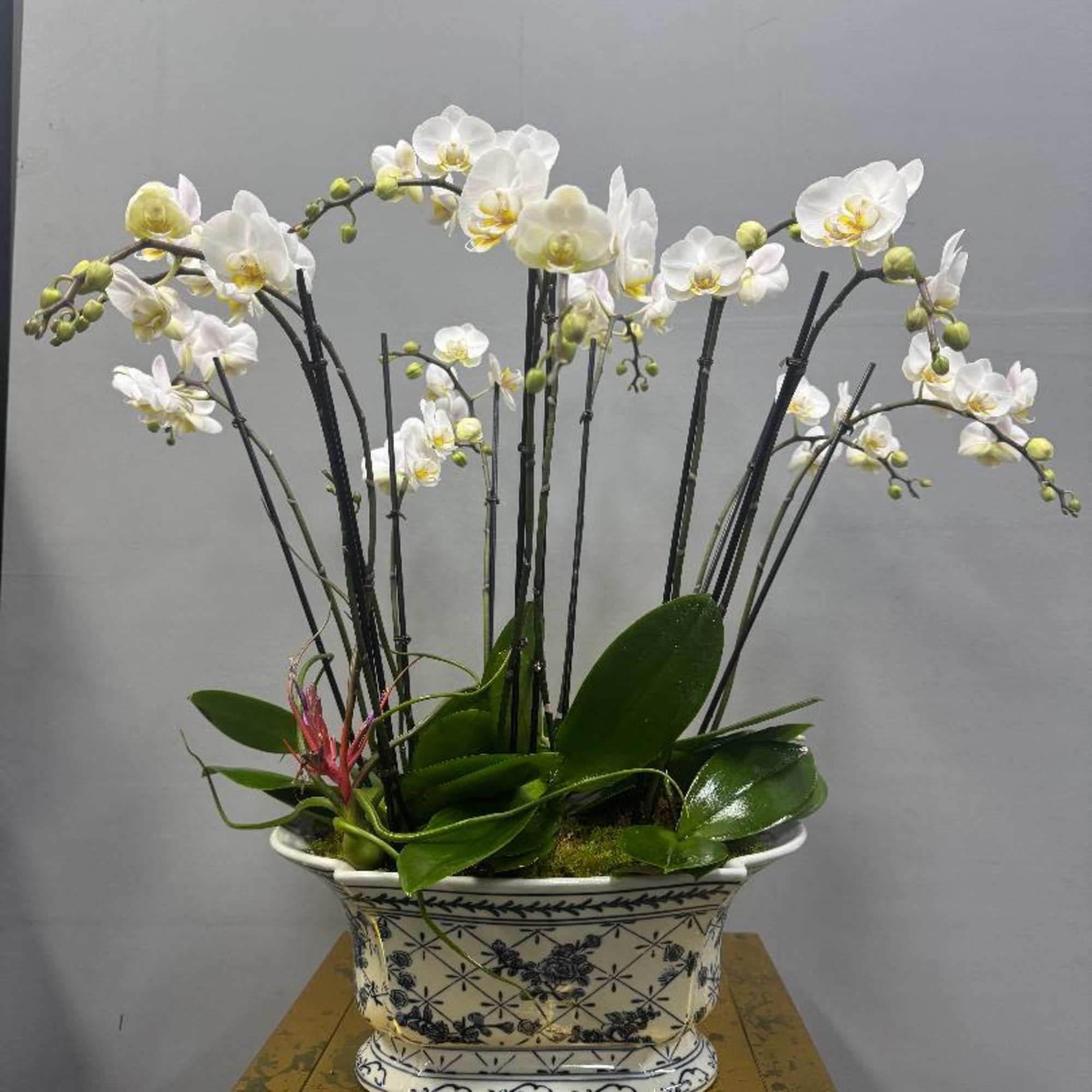 Bring a piece of paradise into your space with Island Chic. This