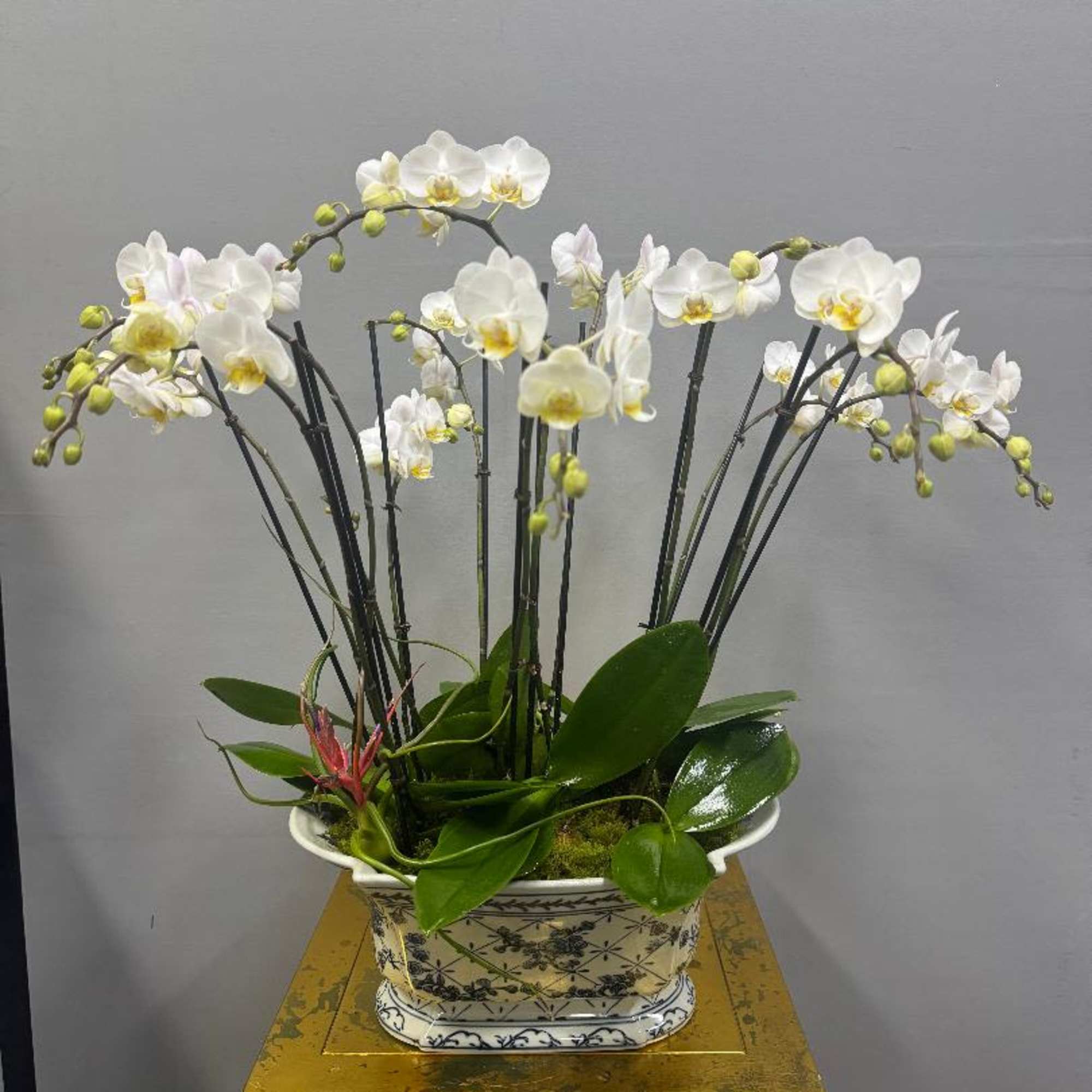 Bring a piece of paradise into your space with Island Chic. This