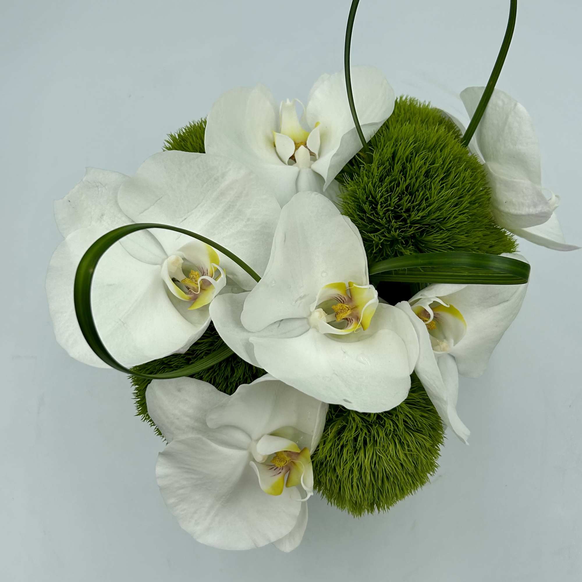 A version of the original white linen except we add some green