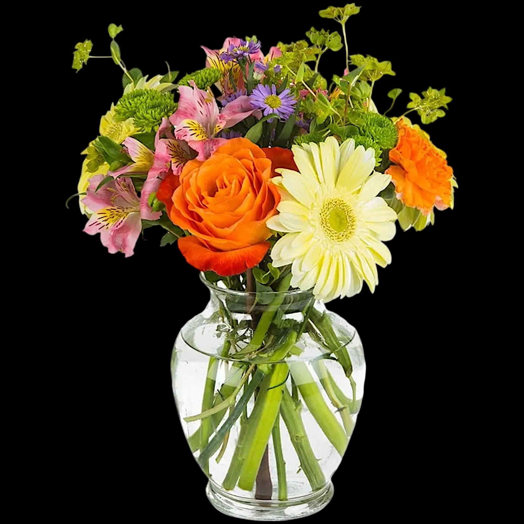 This bouquet is festive and perfect for any celebratory occasion. It is