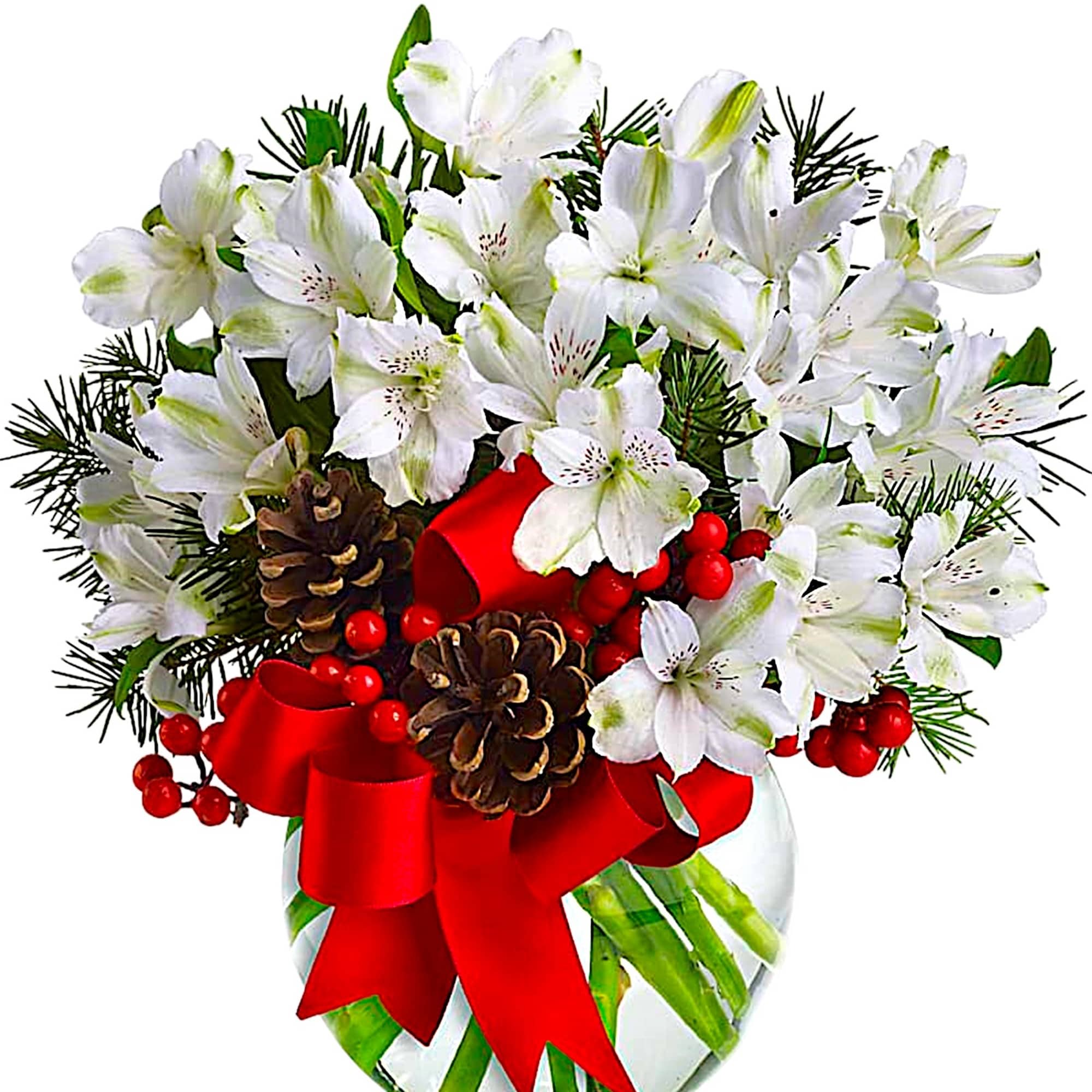 Fresh as new fallen snow. Delicate, snow-white flowers are decorated with berries