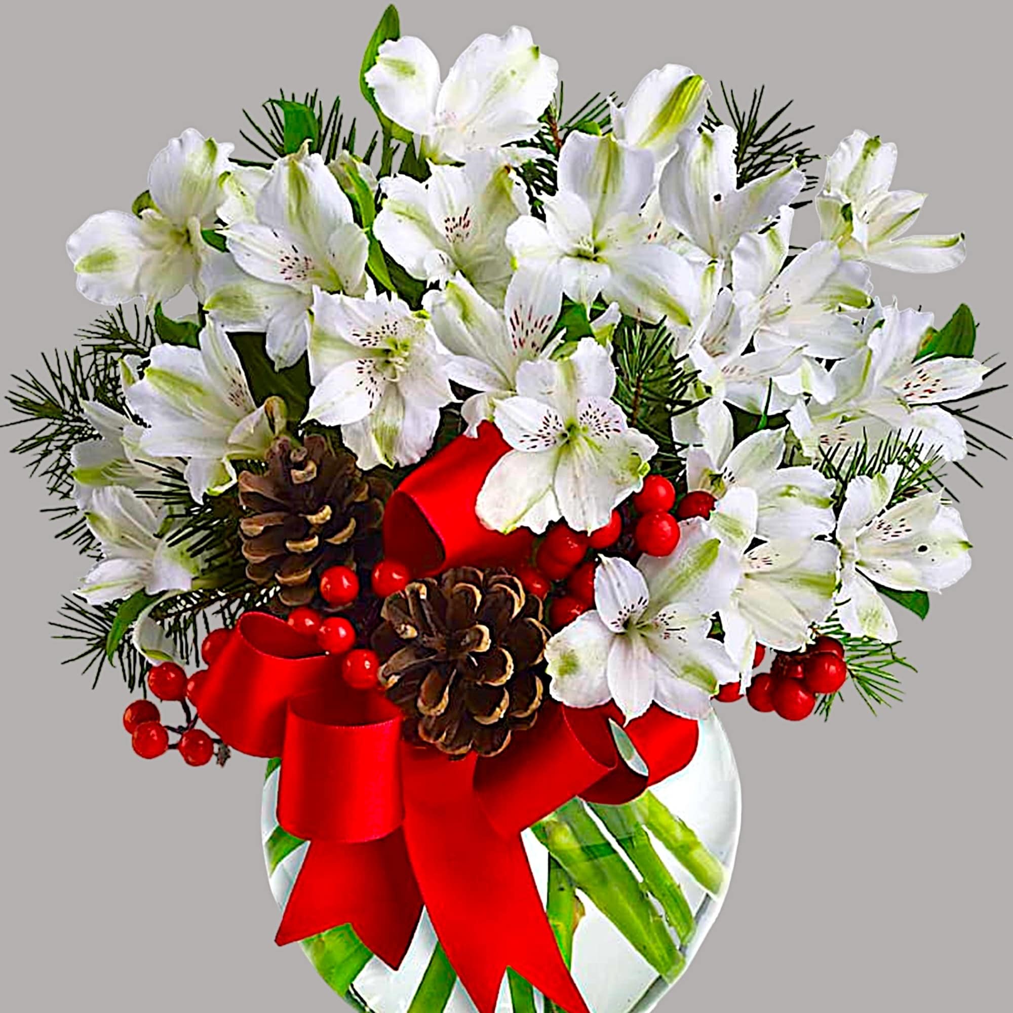 Fresh as new fallen snow. Delicate, snow-white flowers are decorated with berries