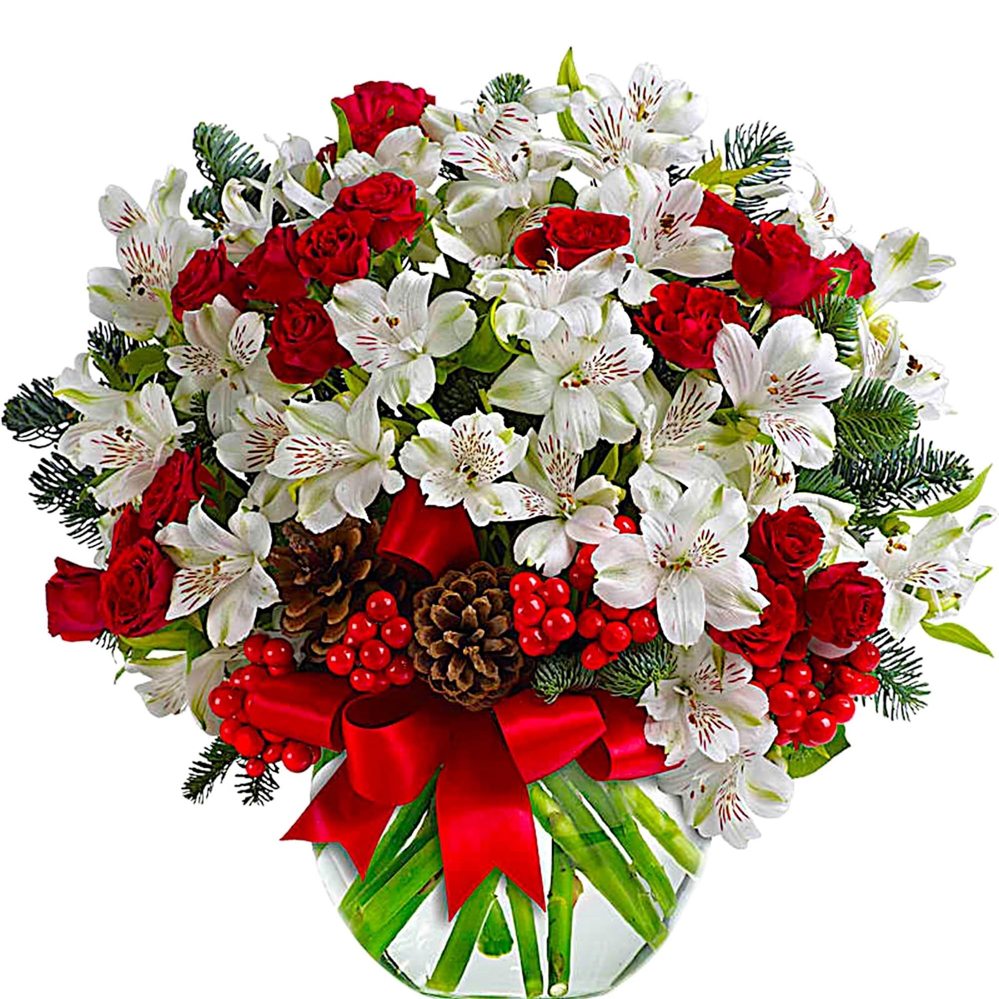 Fresh as new fallen snow. Delicate, snow-white flowers are decorated with berries
