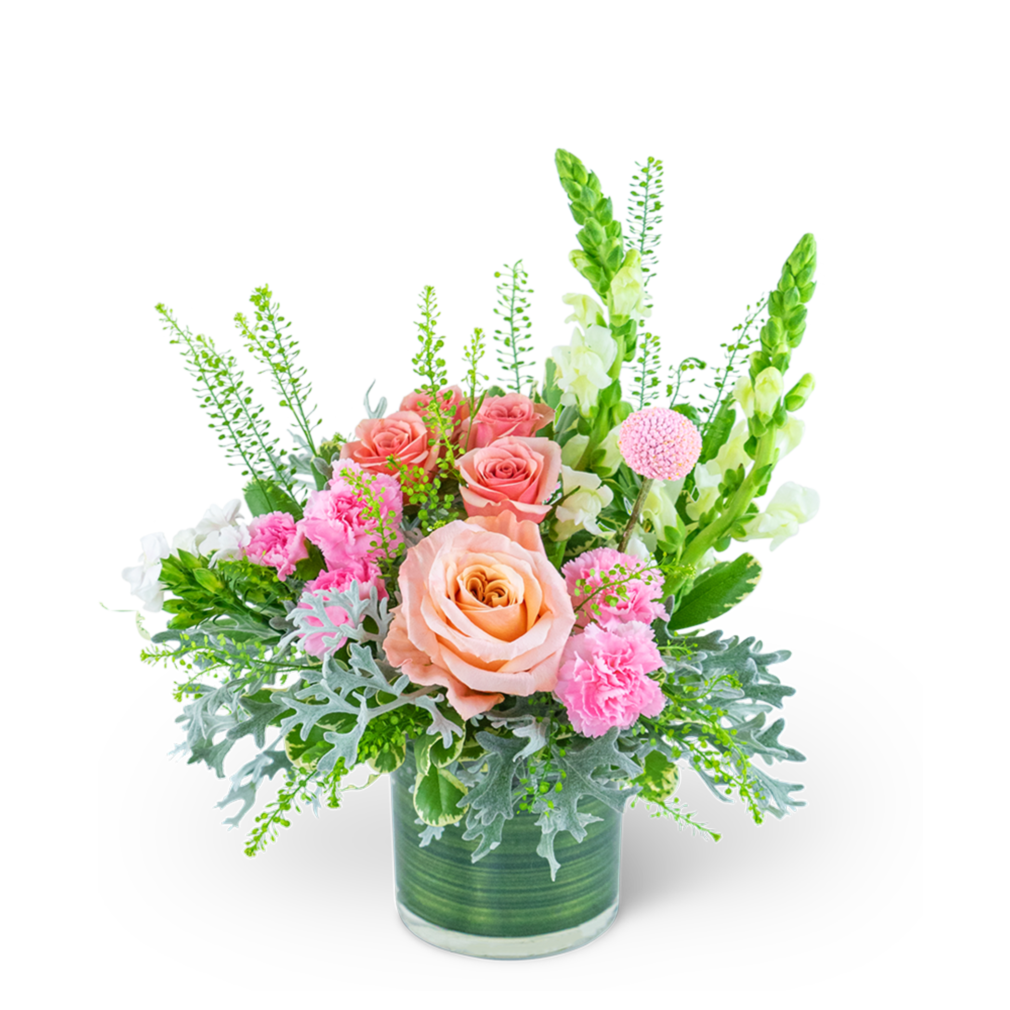 Capture the essence of romance with Rosy Coral Romance, an enchanting flower Capture the essence of romance with Rosy Coral Romance, an enchanting flower