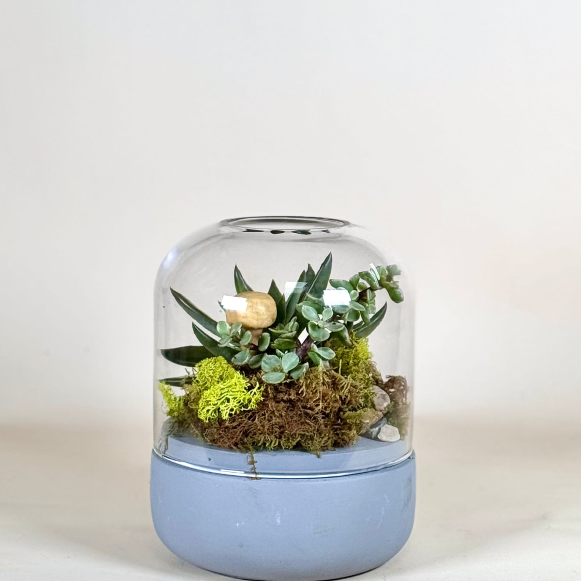 A modern twist on timeless nature. This elegant terrarium features a carefully