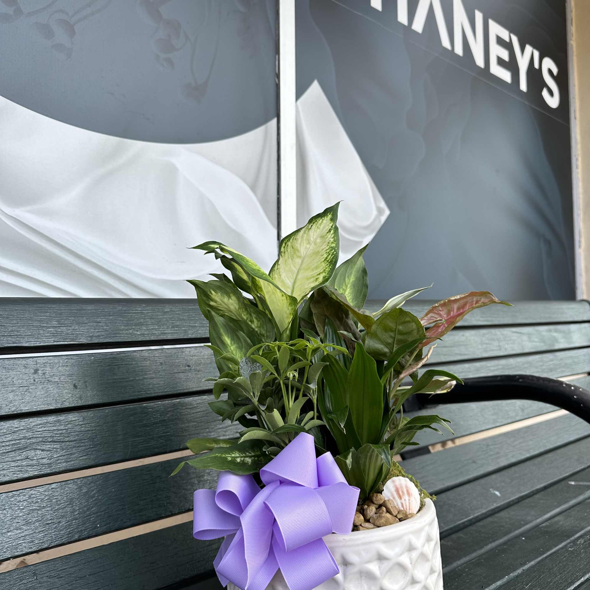 comes with a solid ceramic pot at designers choice