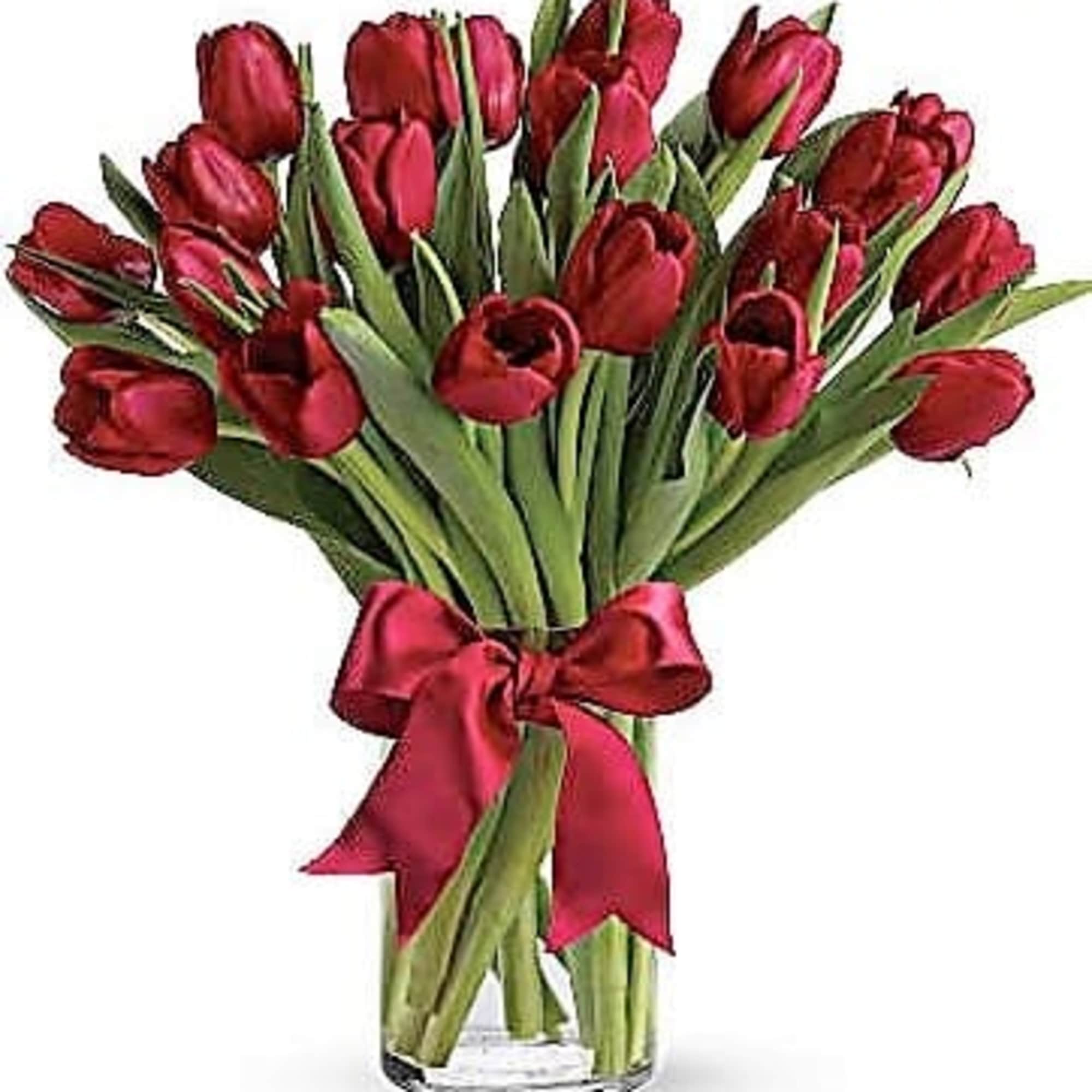 Red tulips arranged in a vase.