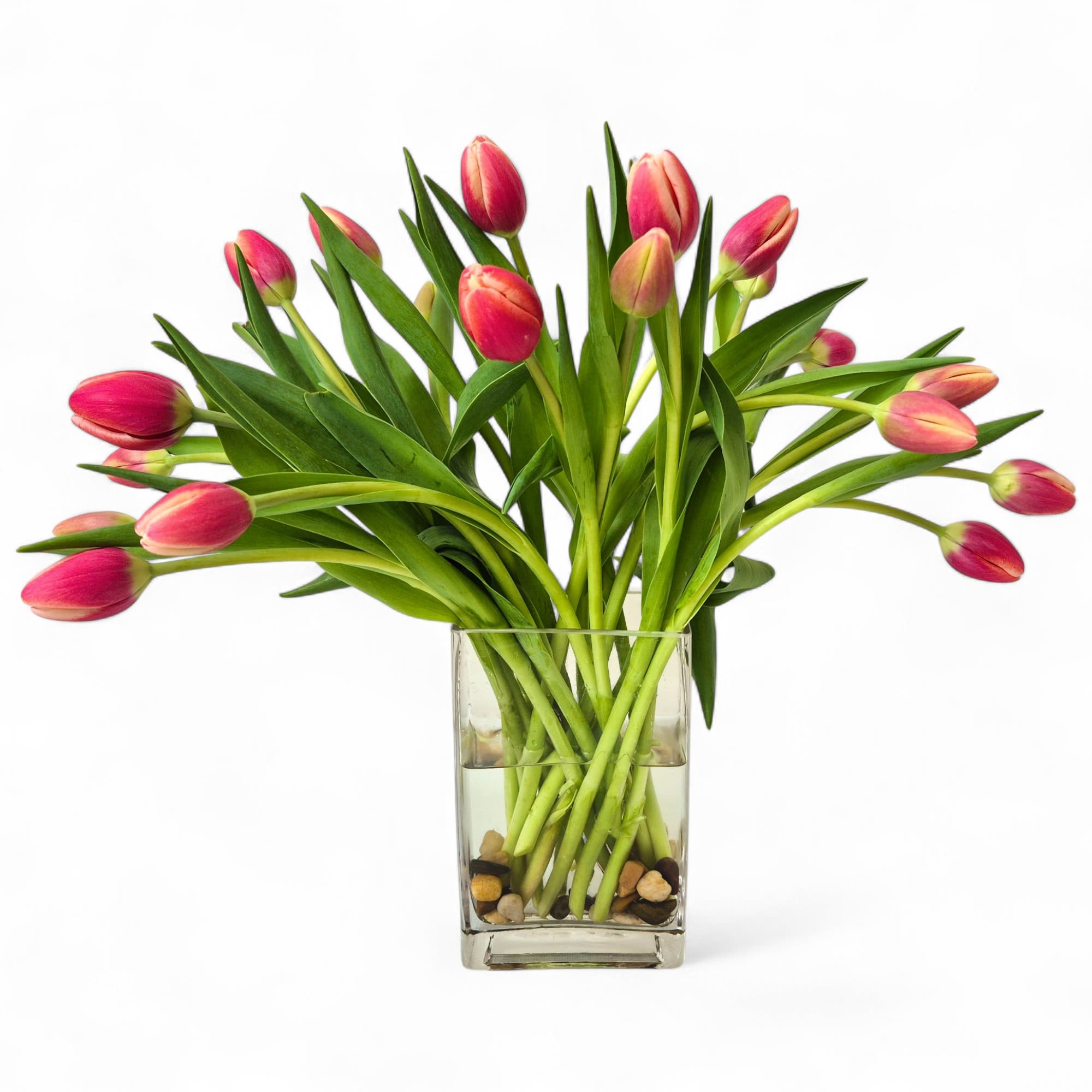 Joyful Tulips is an arrangement of monochromatic tulips arranged in a modern