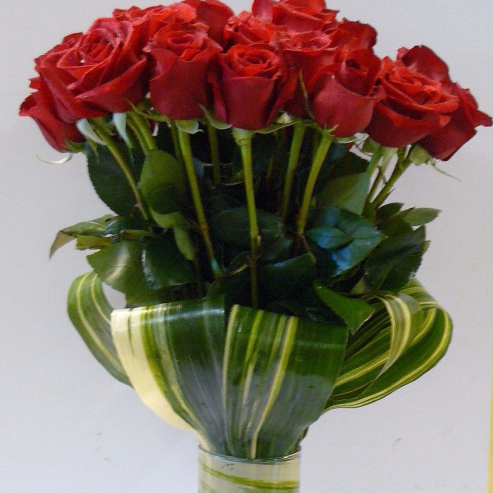 2  Dozen Long Stem  Red Roses , Fancy Greens  2  Dozen Long Stem  Red Roses , Fancy Greens